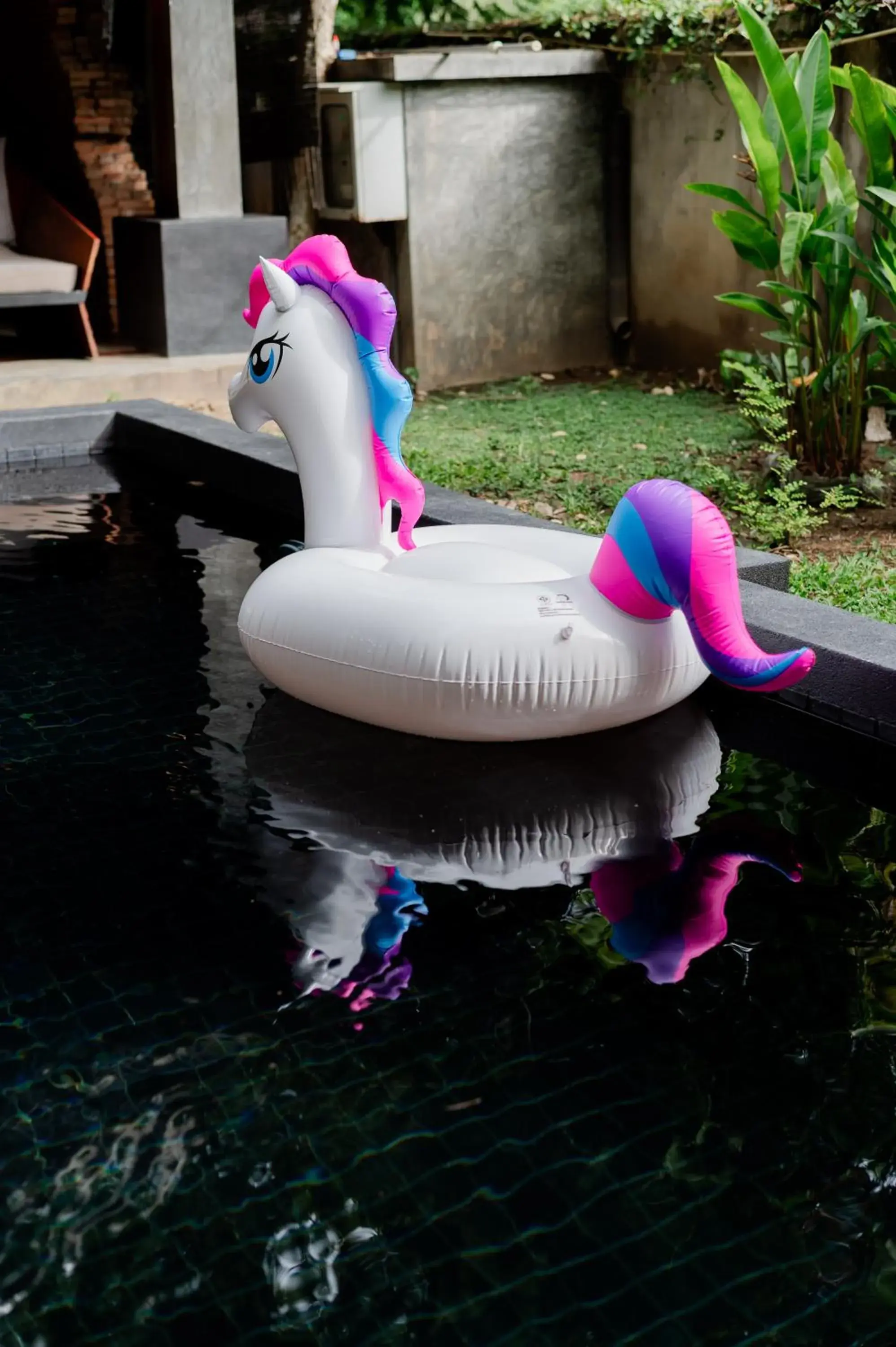 Pool view in Tolani Southgate Villa Chiang Mai Pool view in Tolani Southgate Villa Chiang Mai