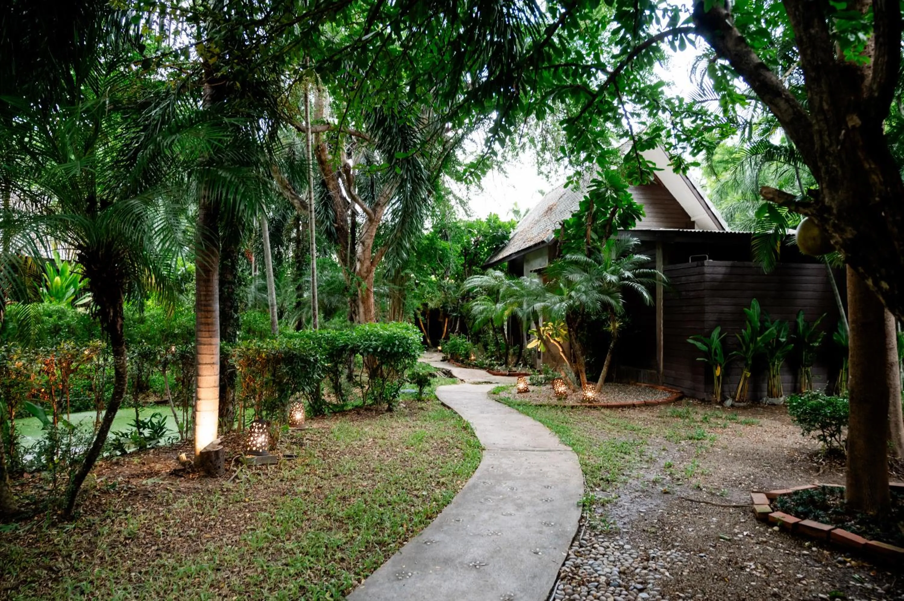 Day in Tolani Southgate Villa Chiang Mai