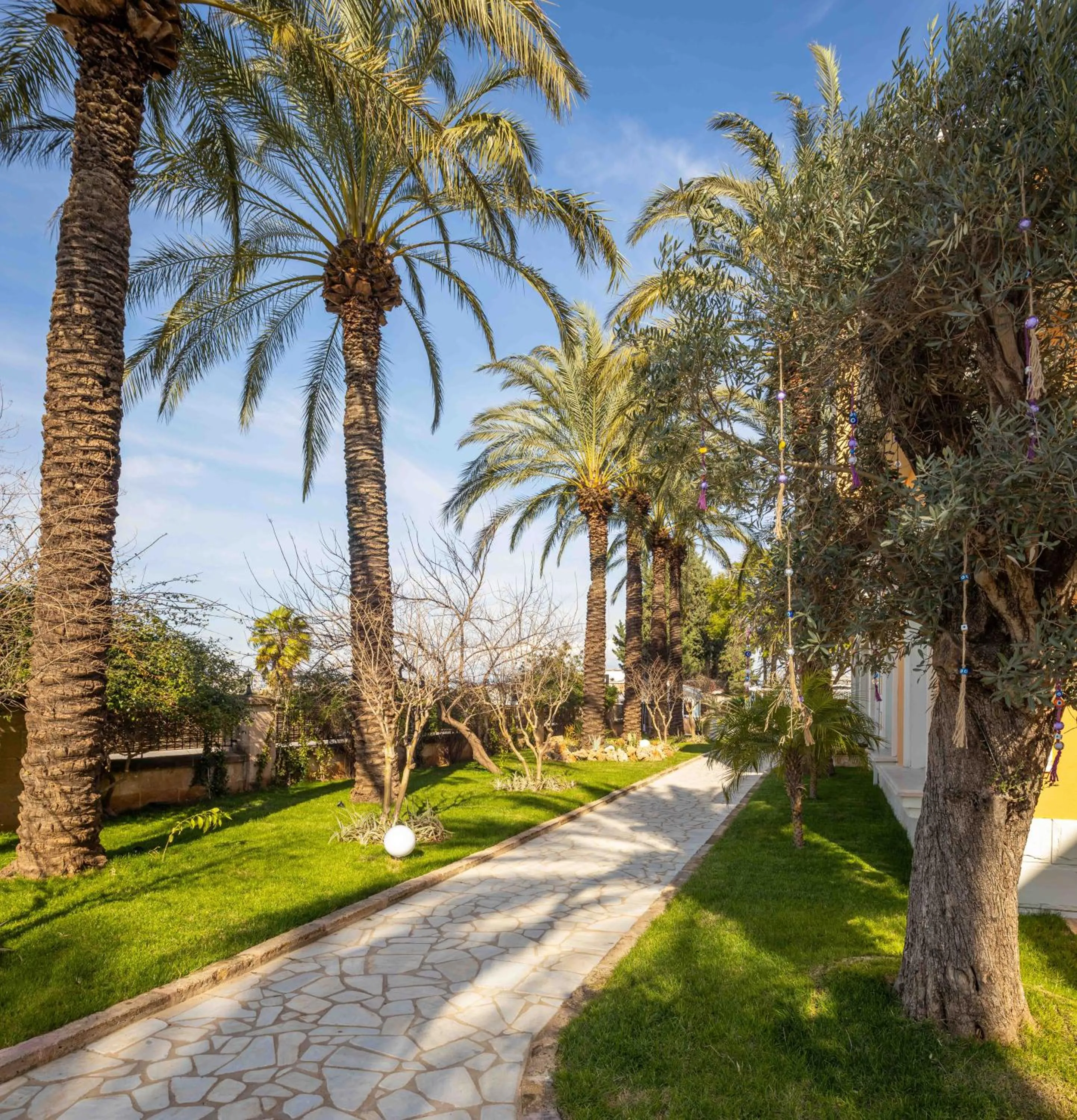 Garden in Ema Houses