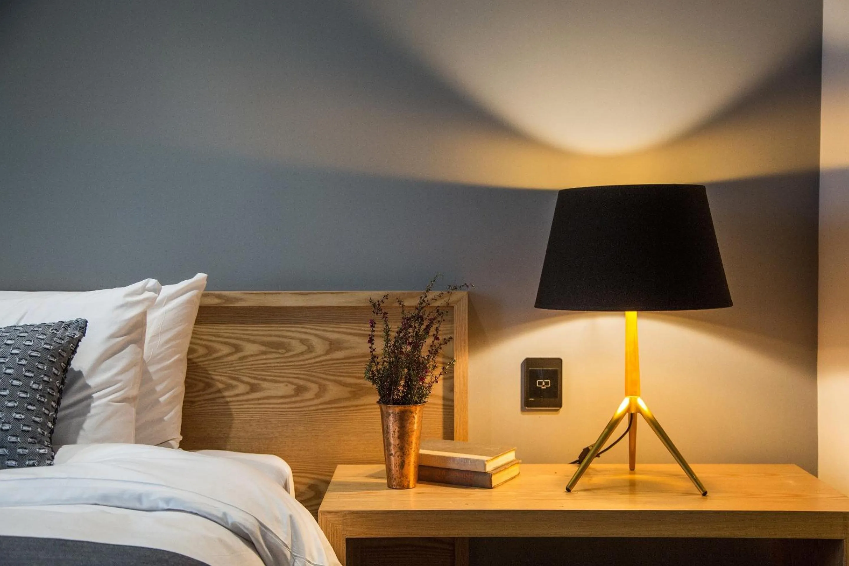 Area and facilities in Hotel Denim Seoul