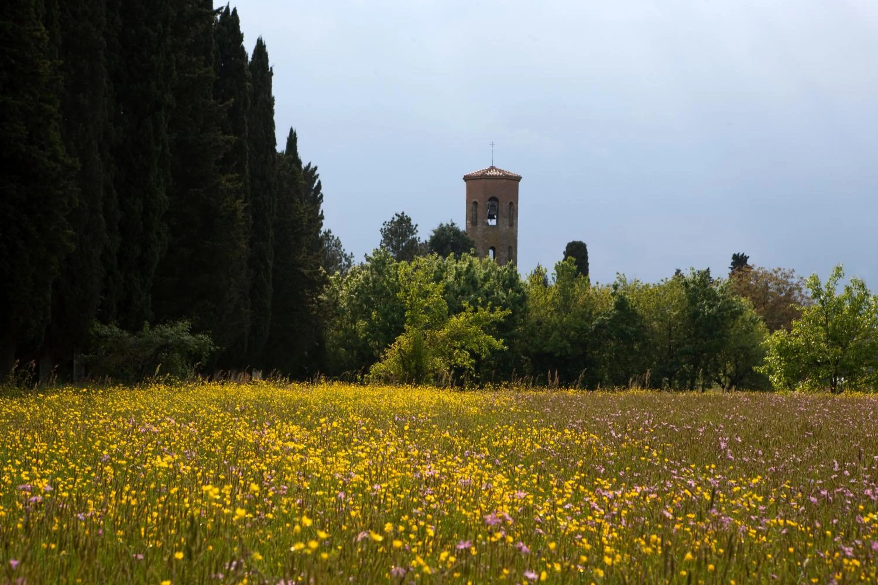 Area and facilities in Agriturismo La Topaia