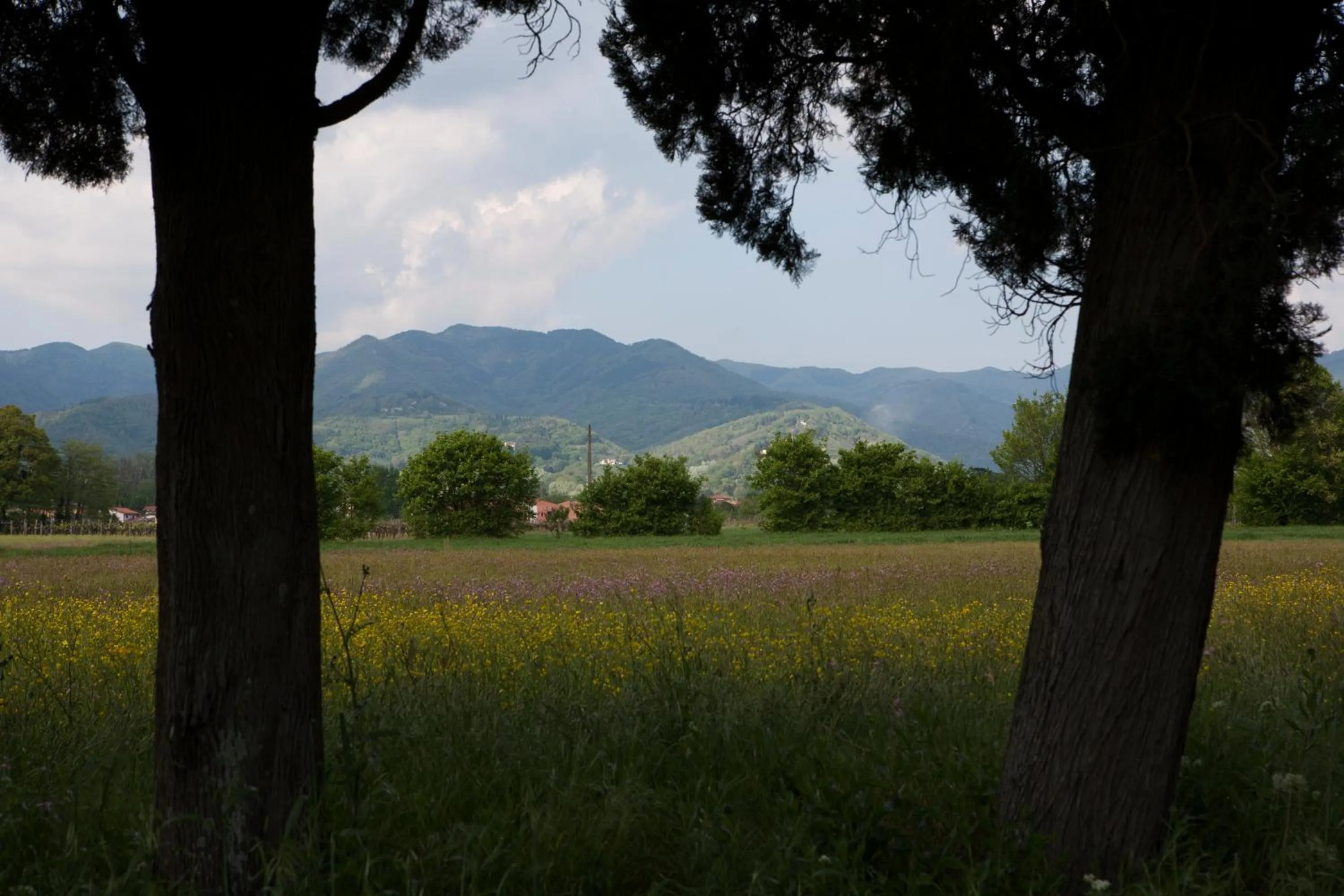 Area and facilities in Agriturismo La Topaia