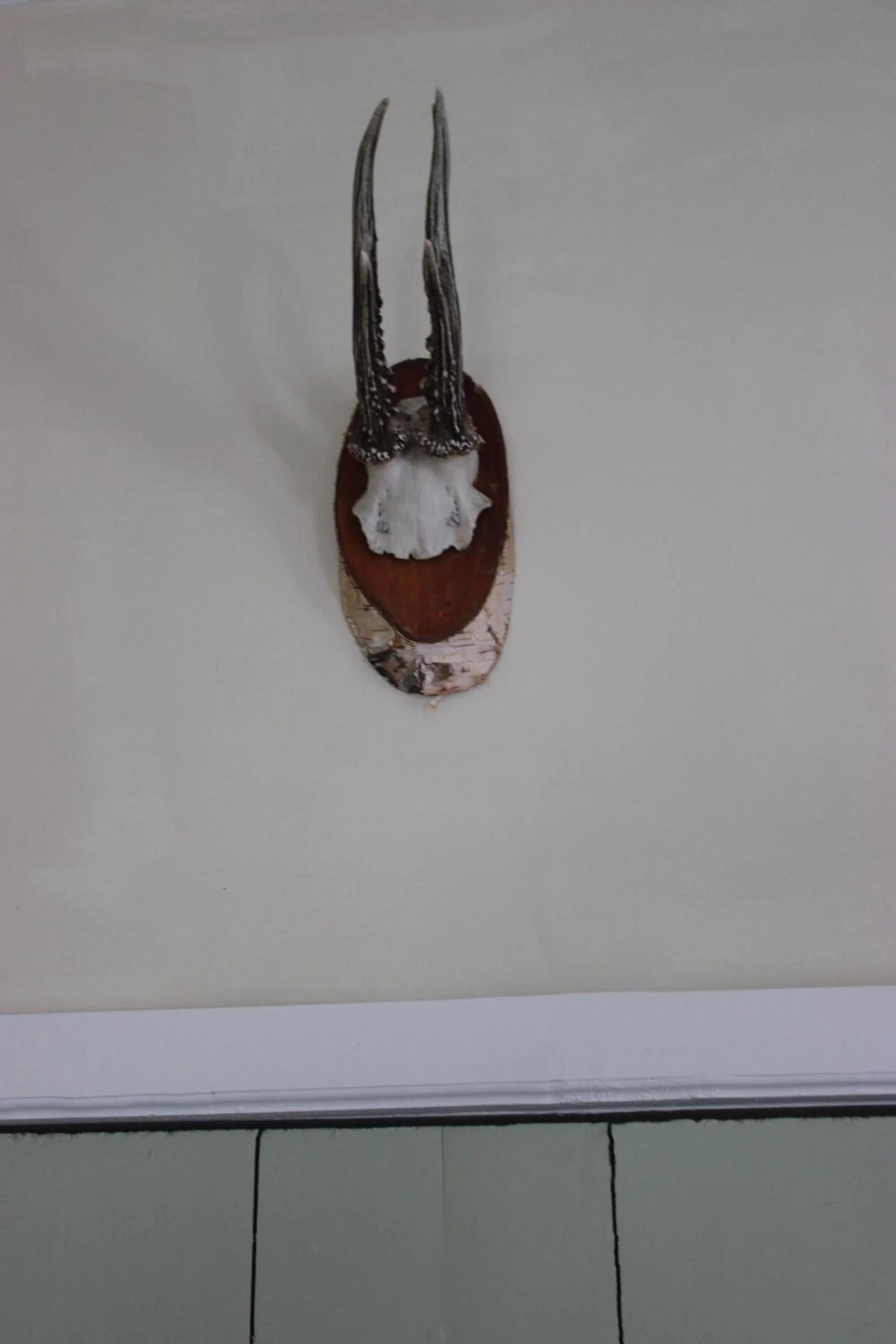 Other in B&B Welgelegen