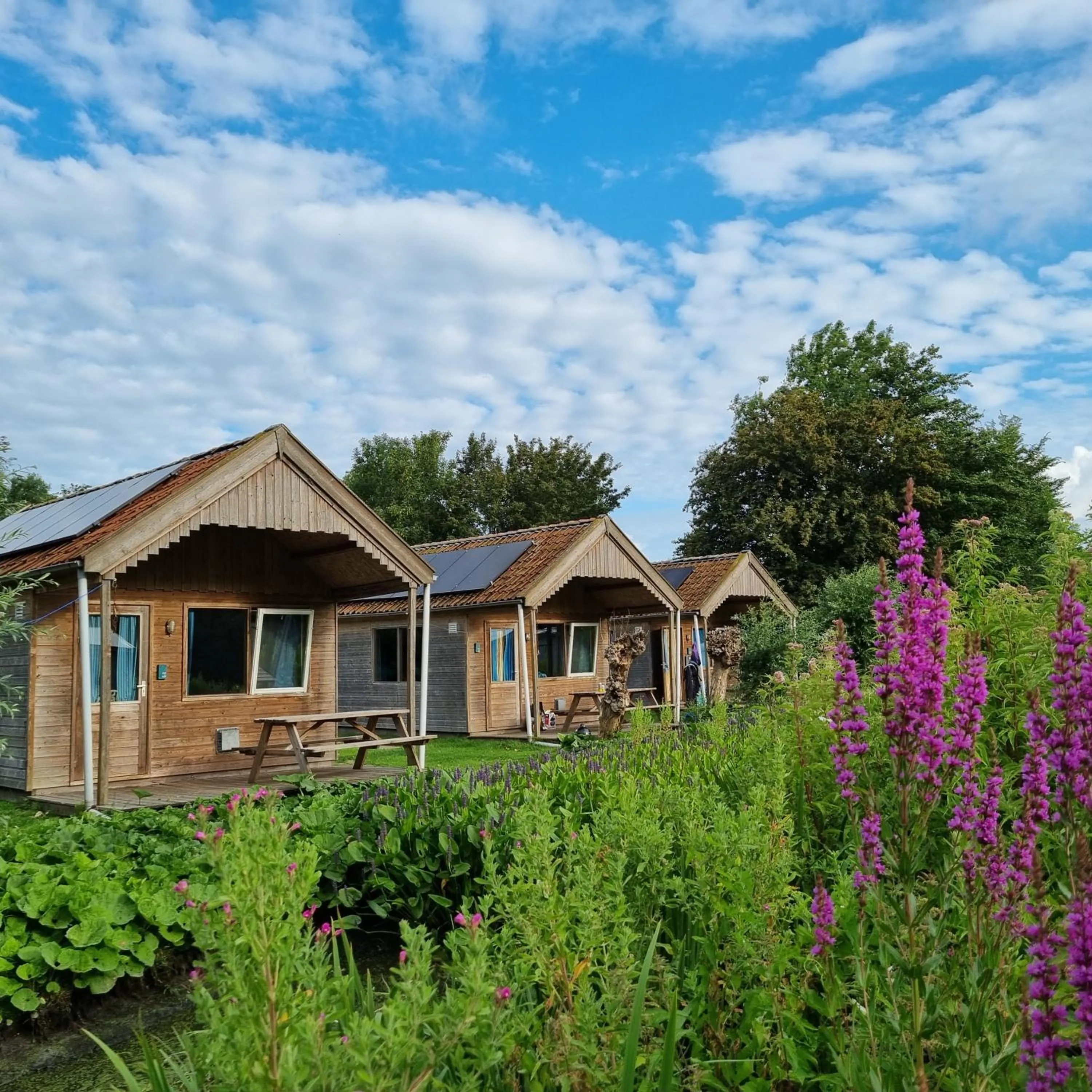 Property building in B&B Welgelegen