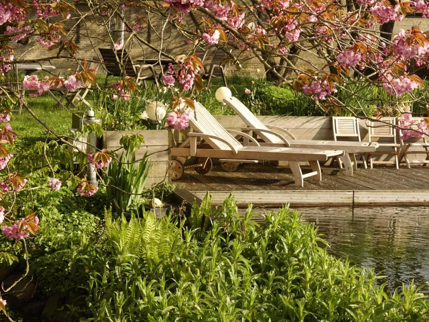 Garden in B&B Welgelegen