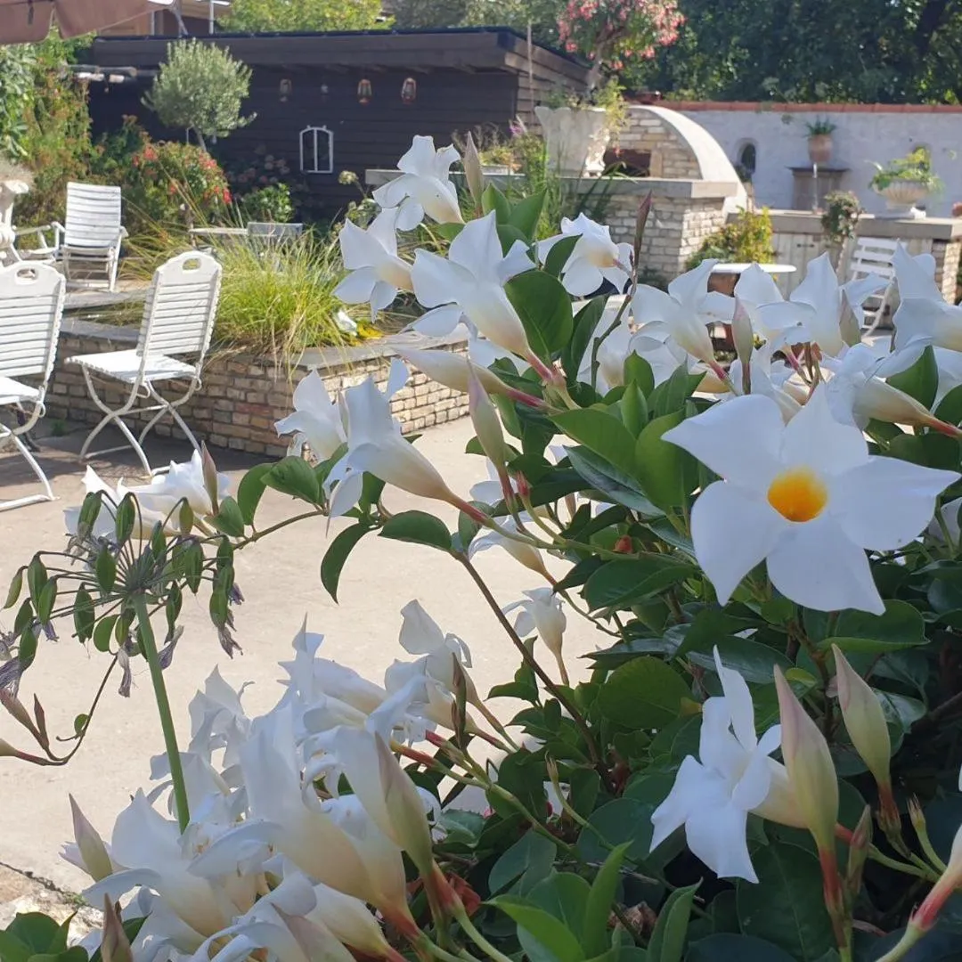 Restaurant/places to eat in B&B Welgelegen