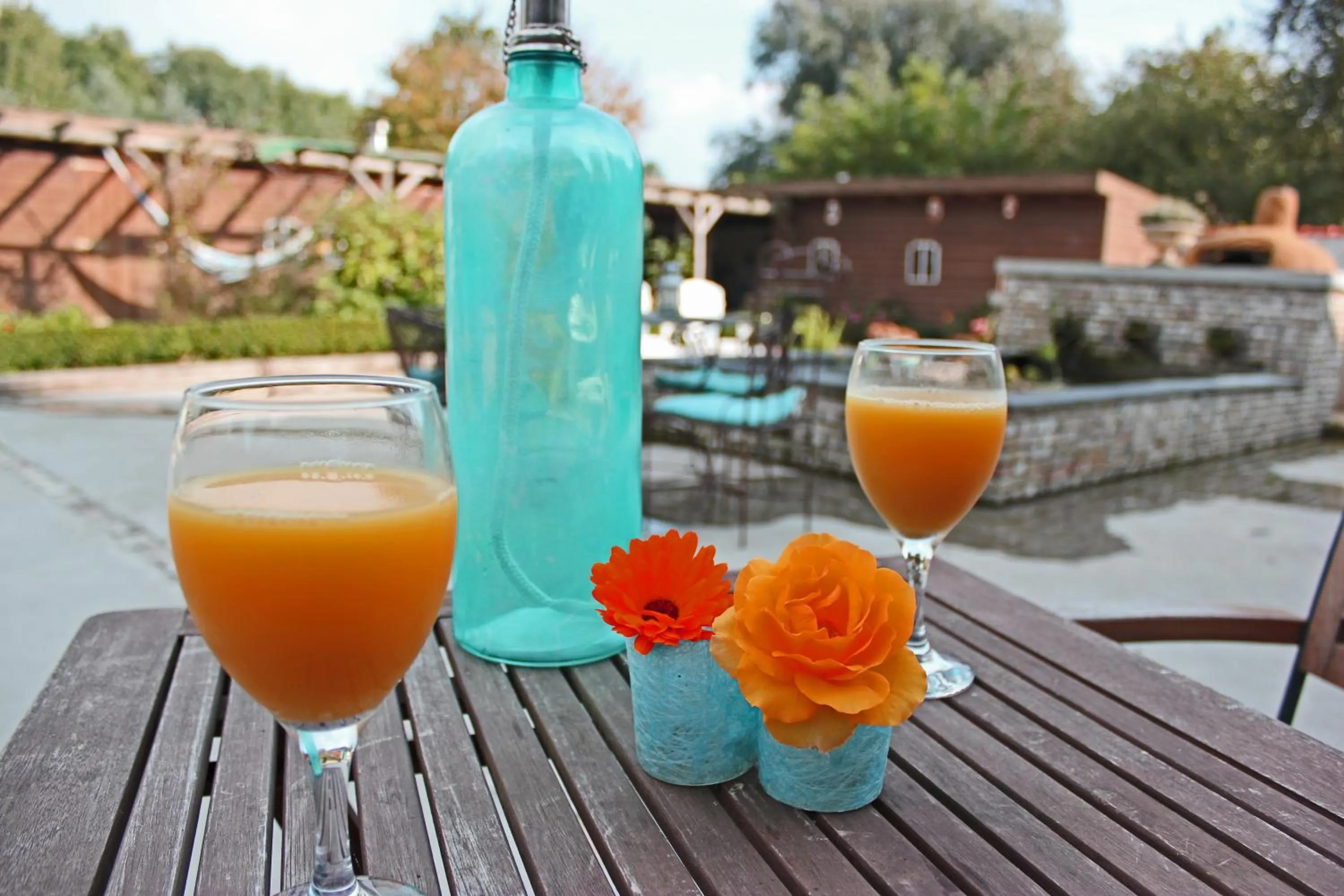 Patio in B&B Welgelegen