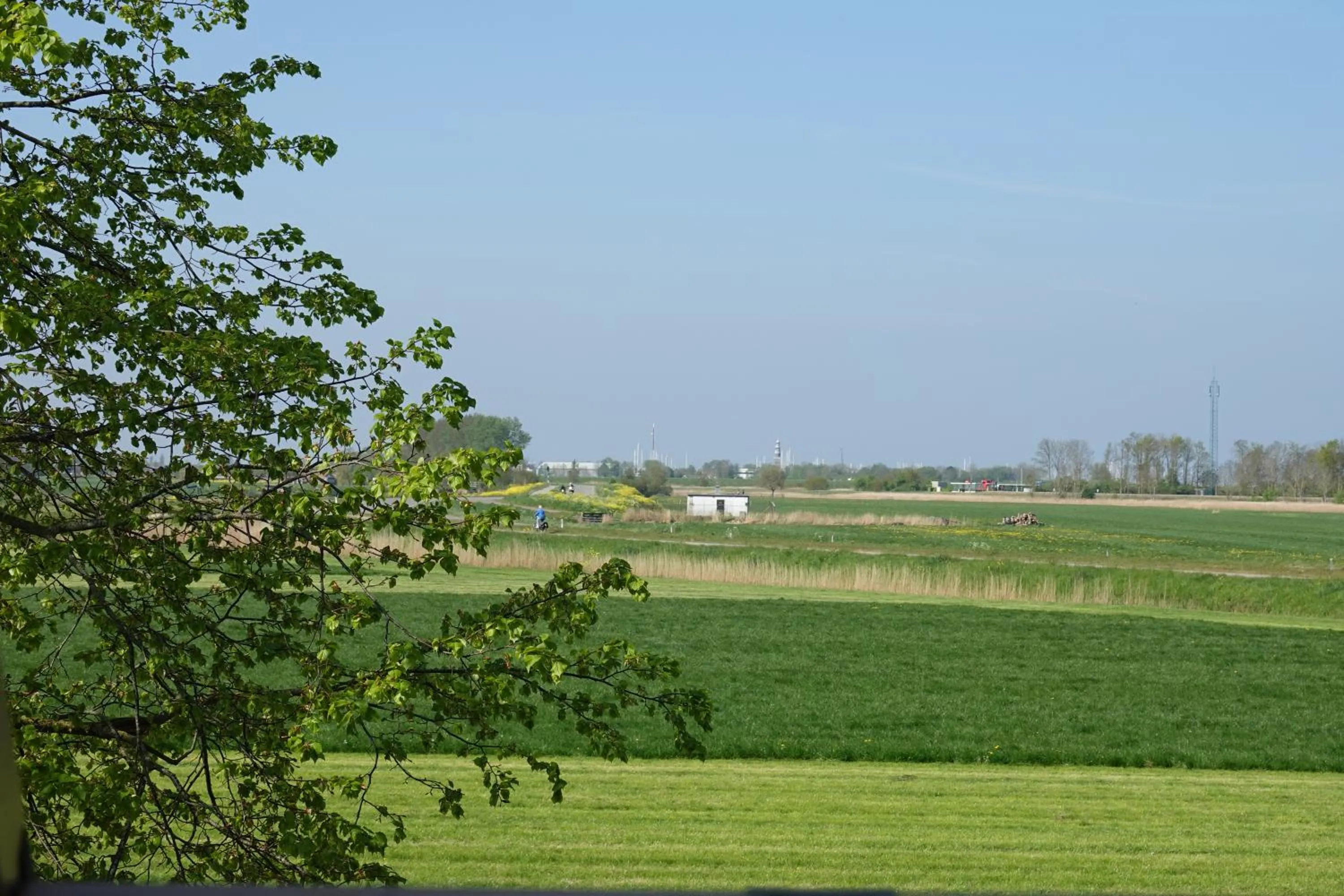 Garden view in B&B Welgelegen