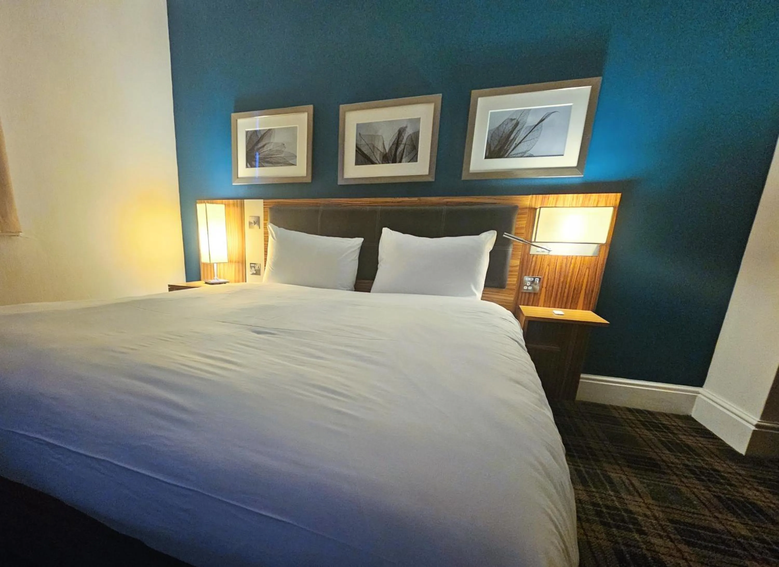 Bed in Hampstead Britannia