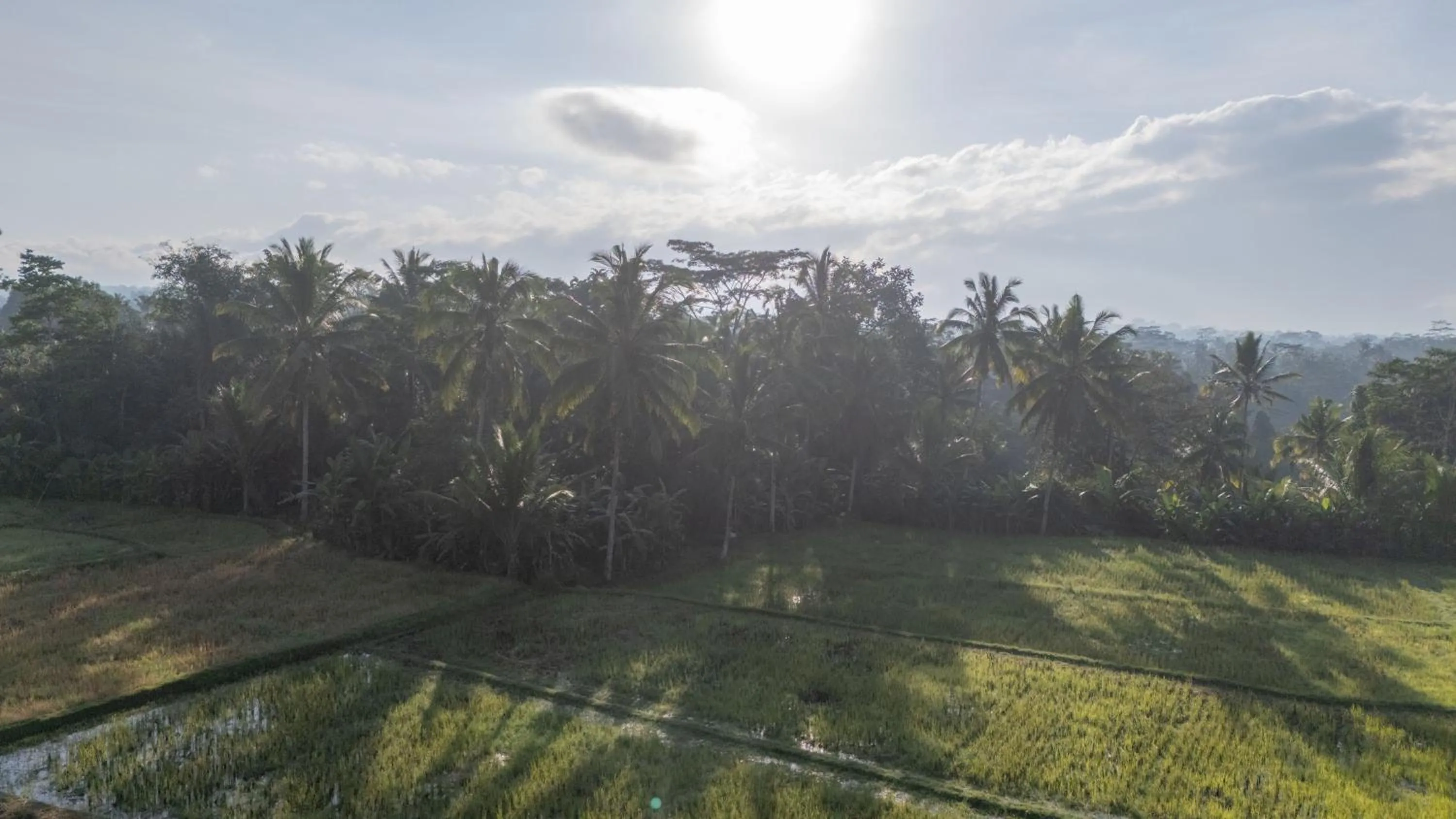 View (from property/room) in Aditara Sebatu Villa