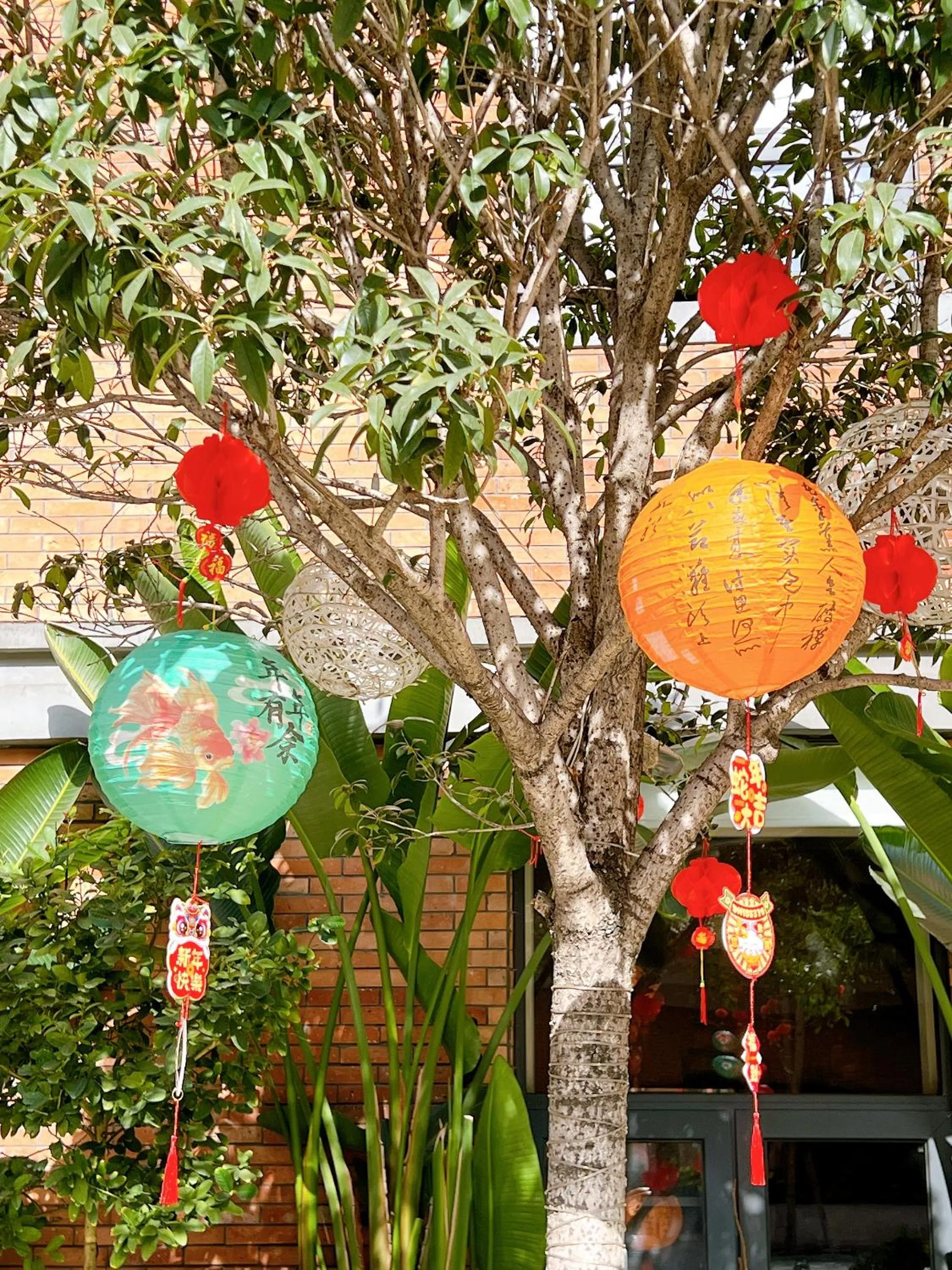 Garden view in Panda Hotel