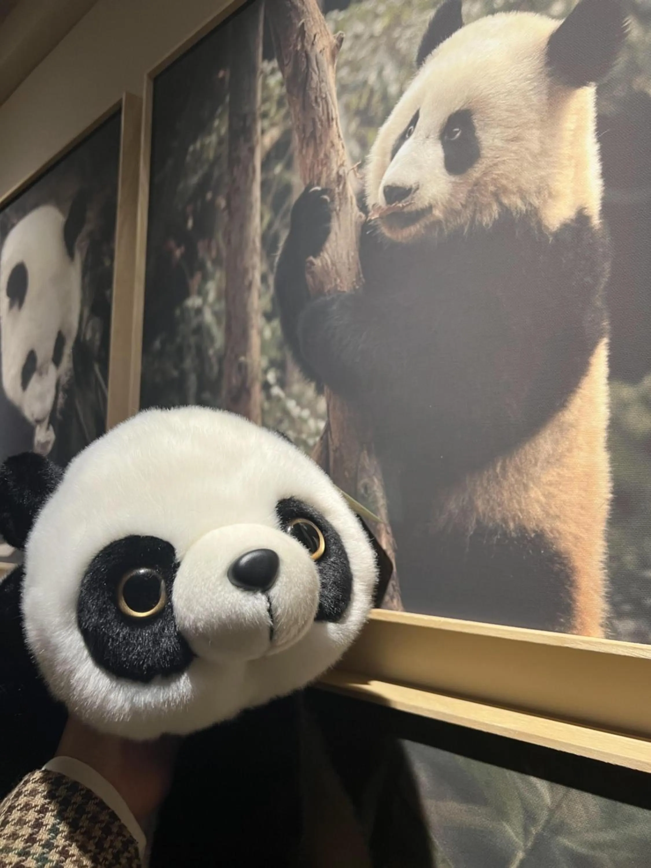 Decorative detail in Panda Hotel