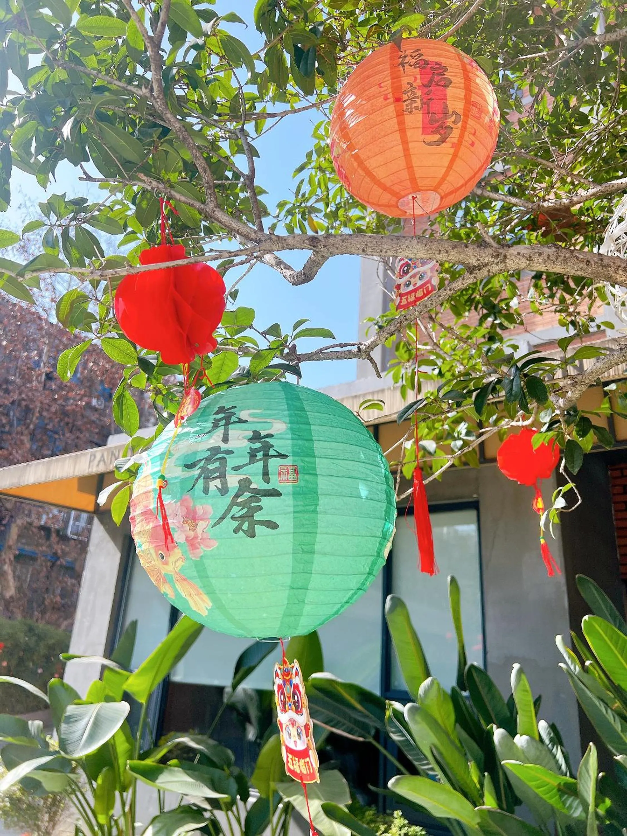 Garden view in Panda Hotel
