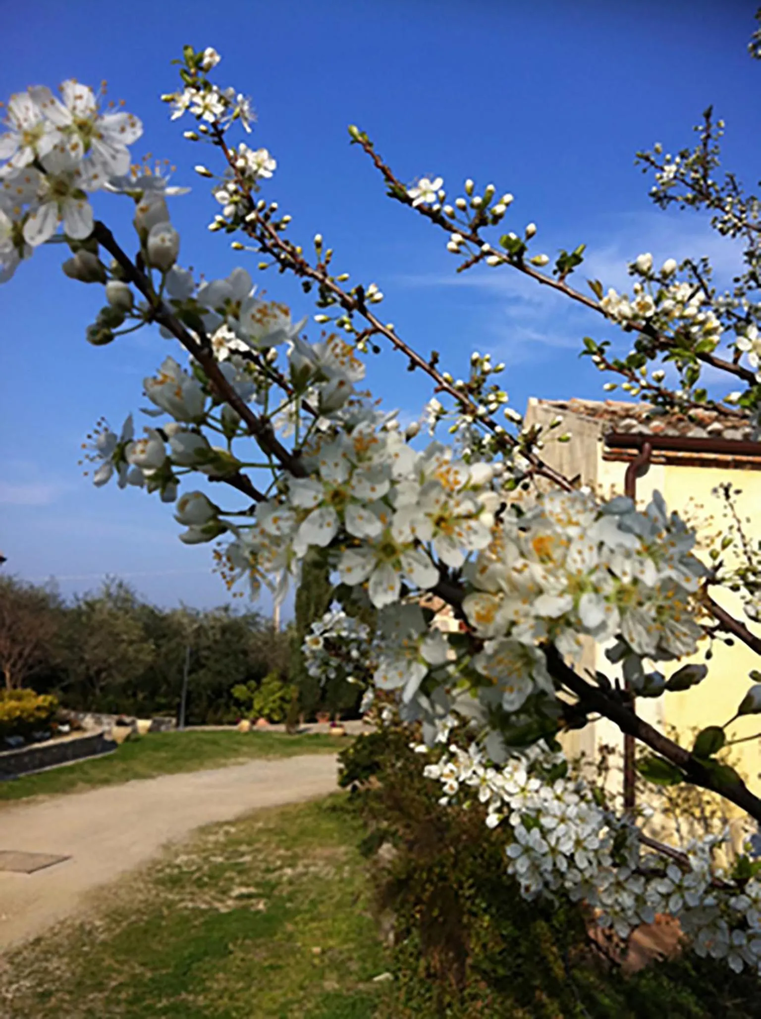 Agriturismo Frangivento