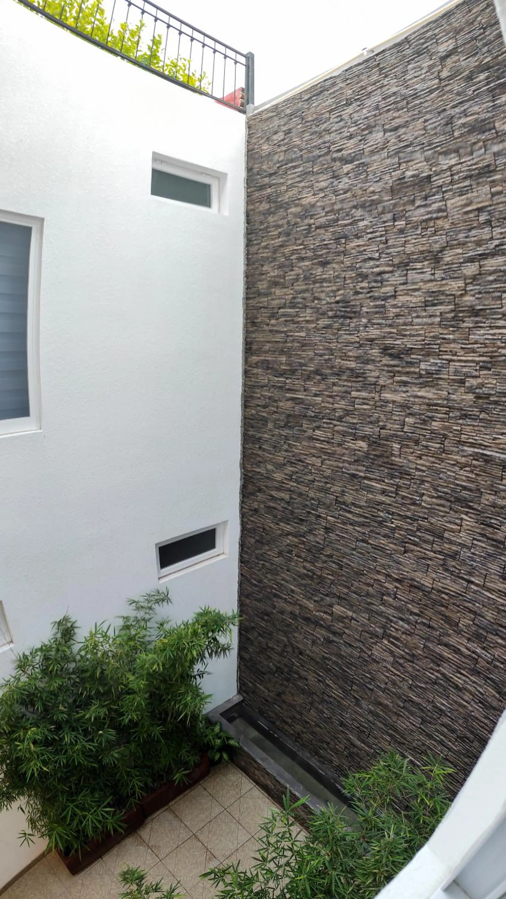 Day in Nueve Agaves Hotel