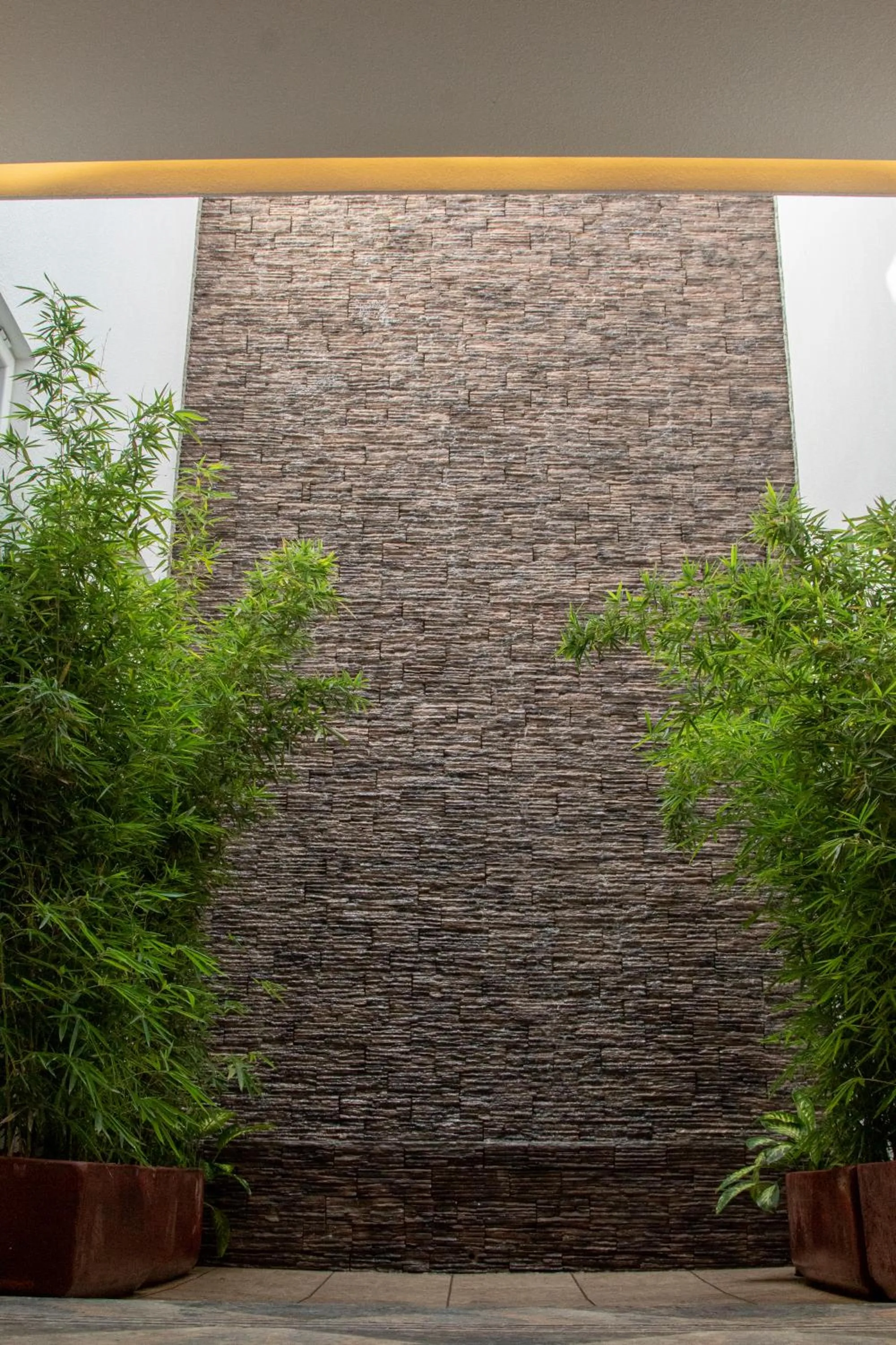 Patio in Nueve Agaves Hotel