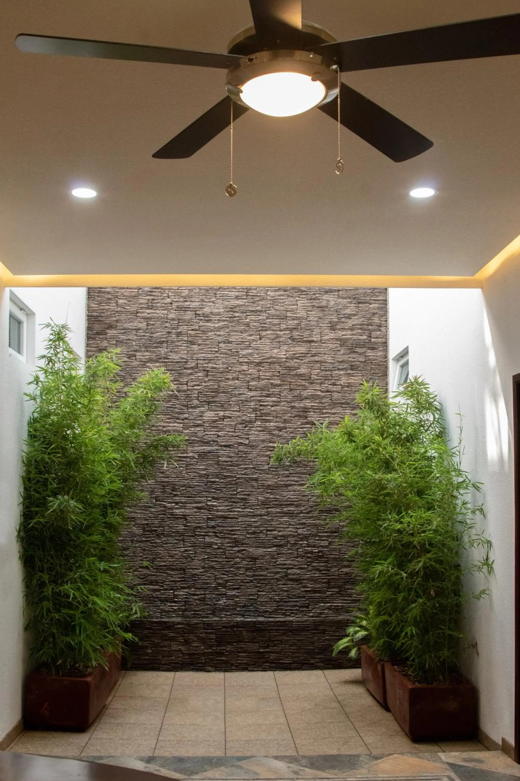 Garden view in Nueve Agaves Hotel