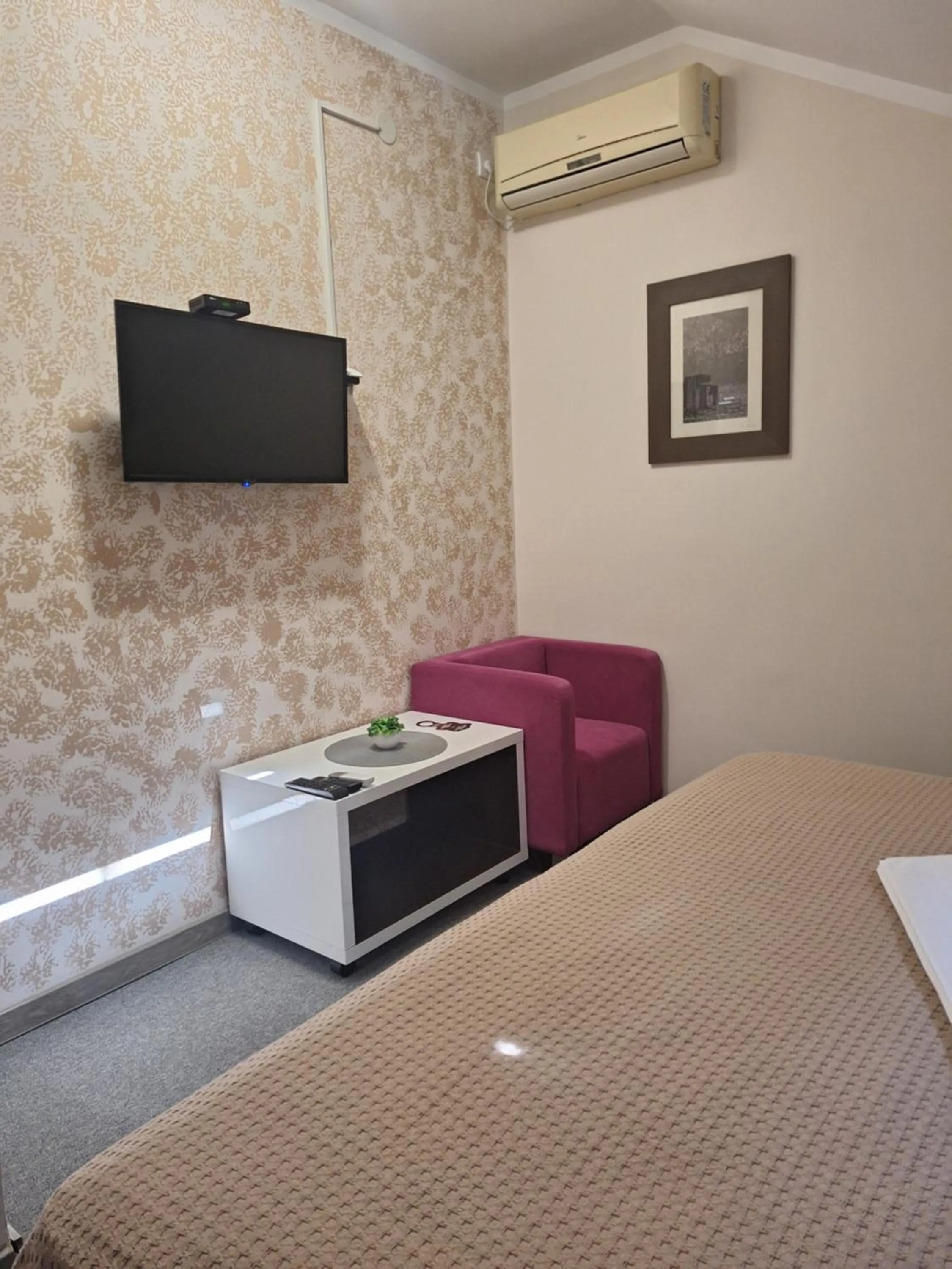 TV and multimedia in Garni Hotel Ema