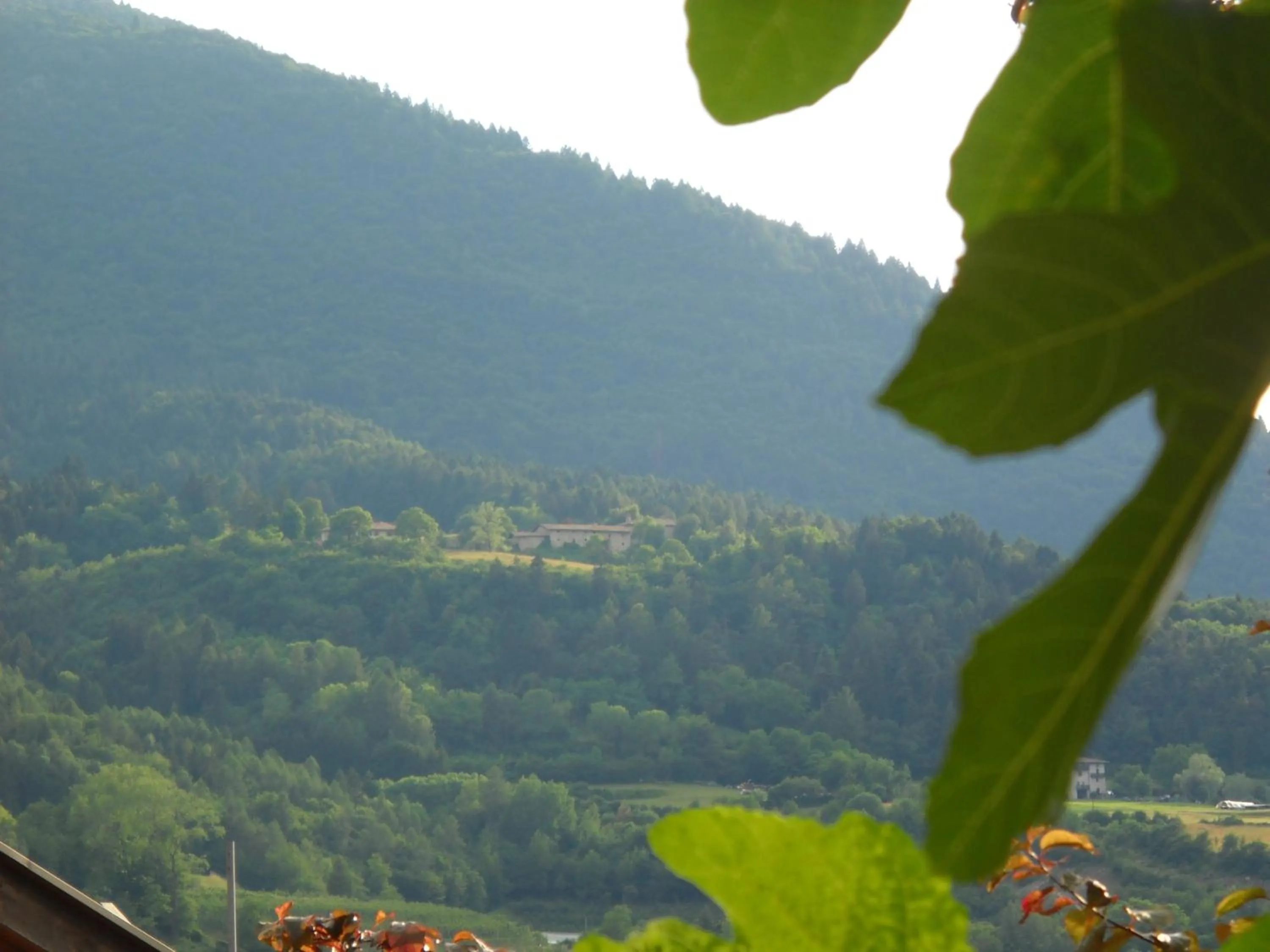 View (from property/room) in B&B Artemia