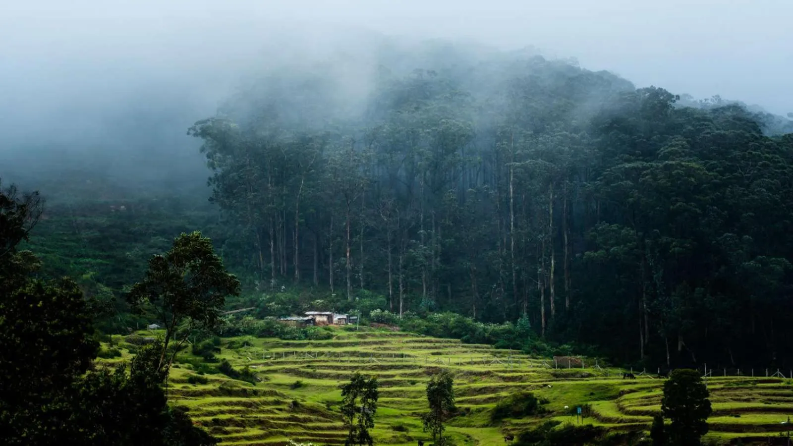 Mountain view in Fortune Retreats