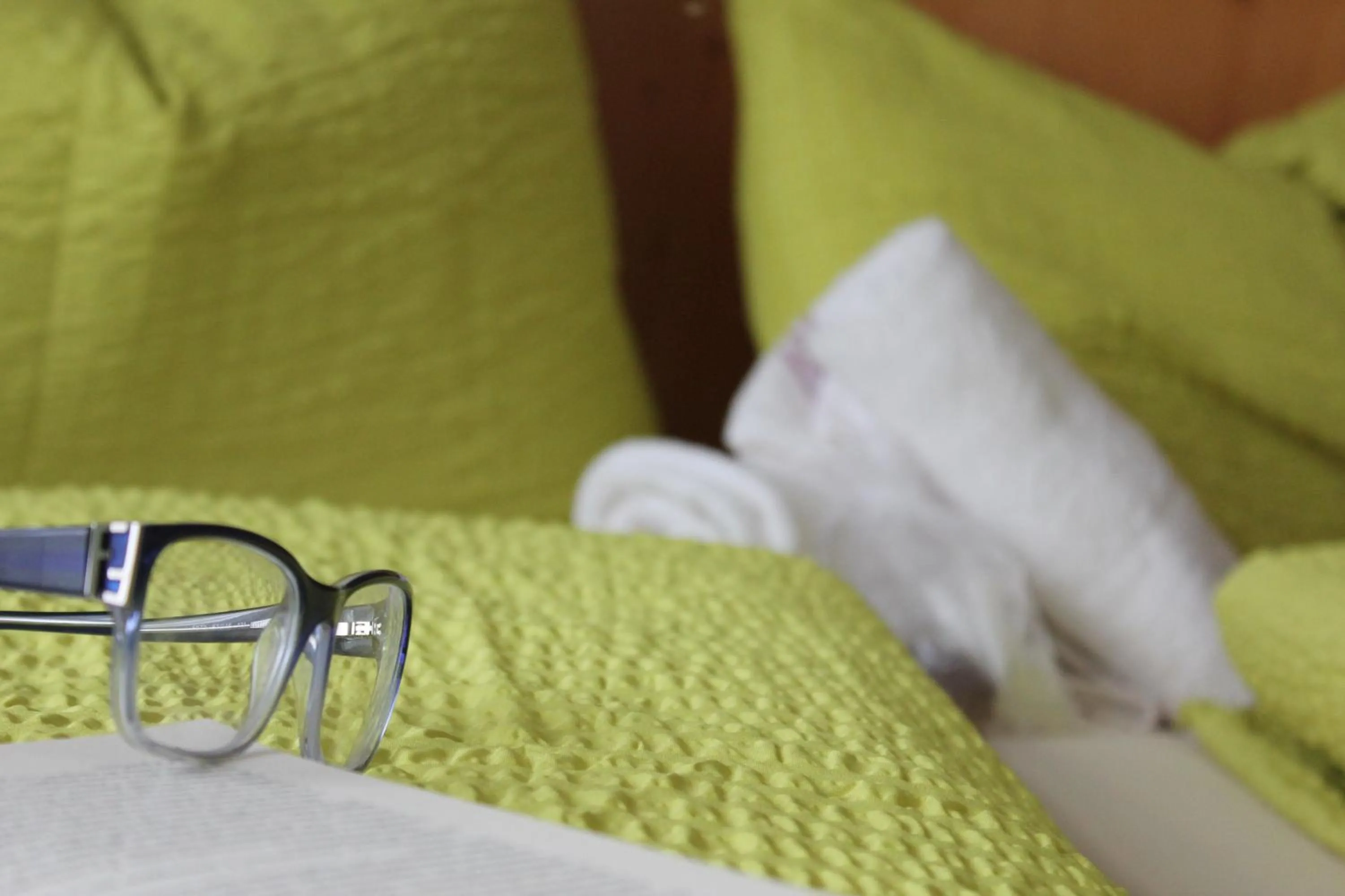 Other, Bed in B&B Via Vai