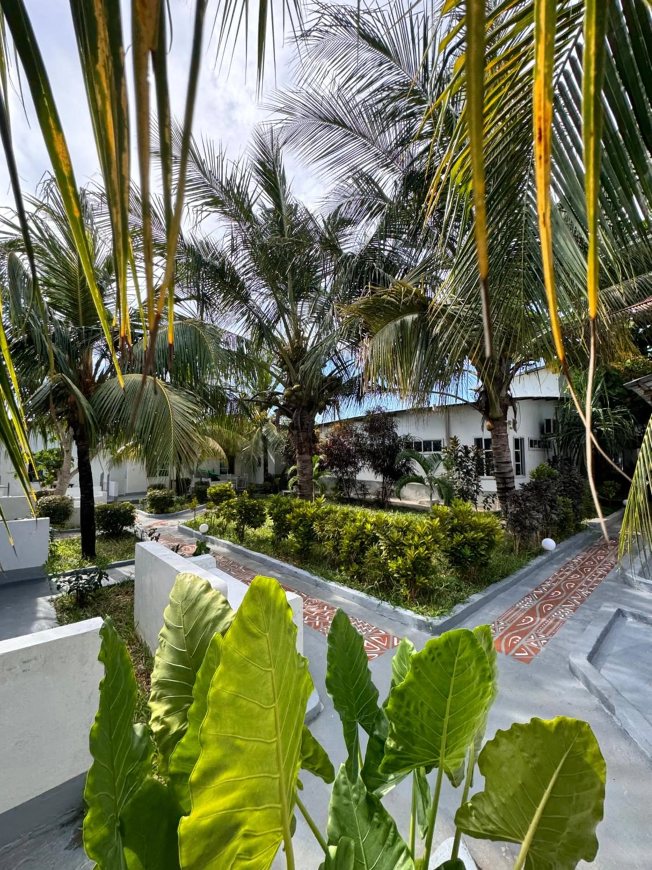 Garden in Varadero Zanzibar Hotel