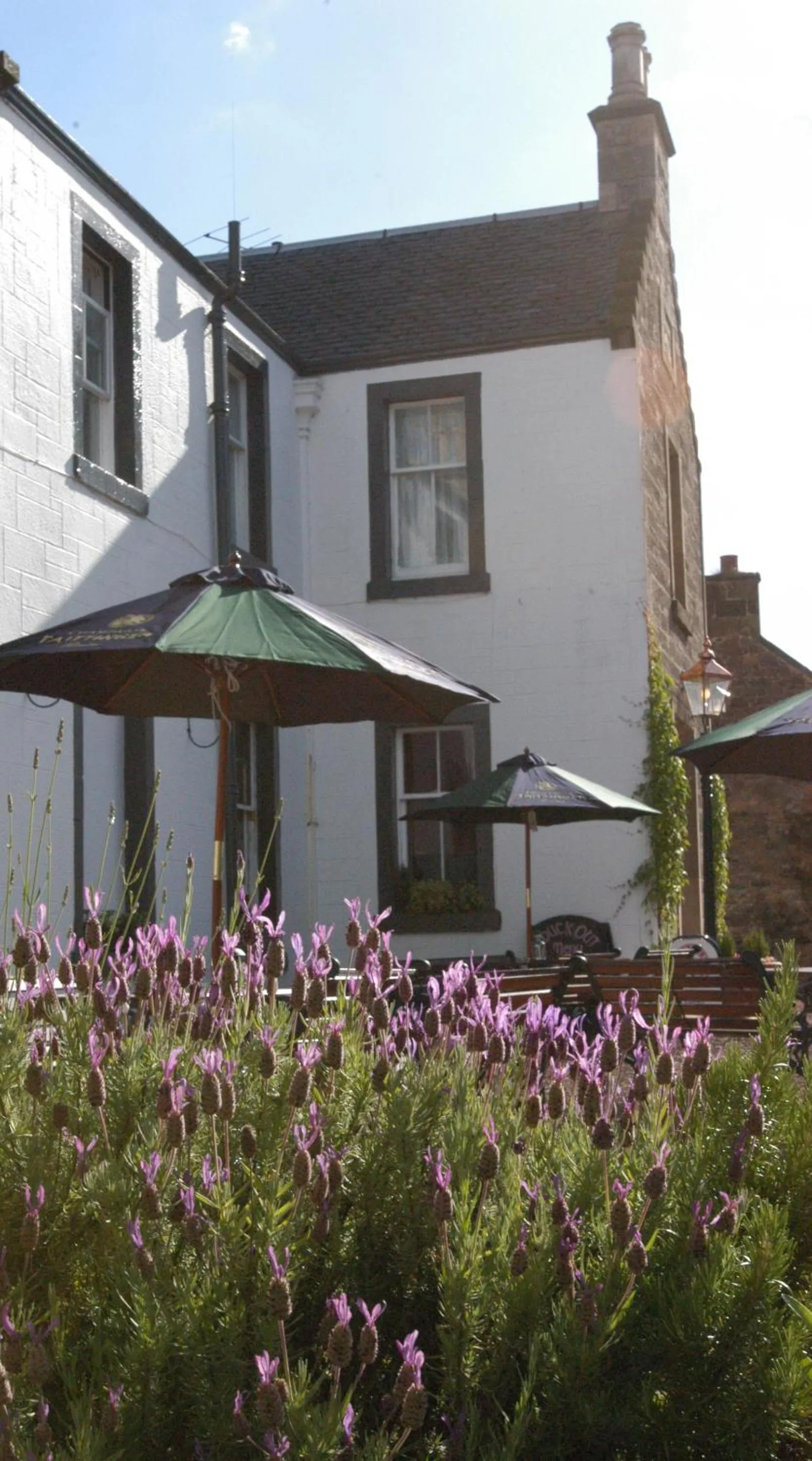 Garden, Property Building in Duck's Inn