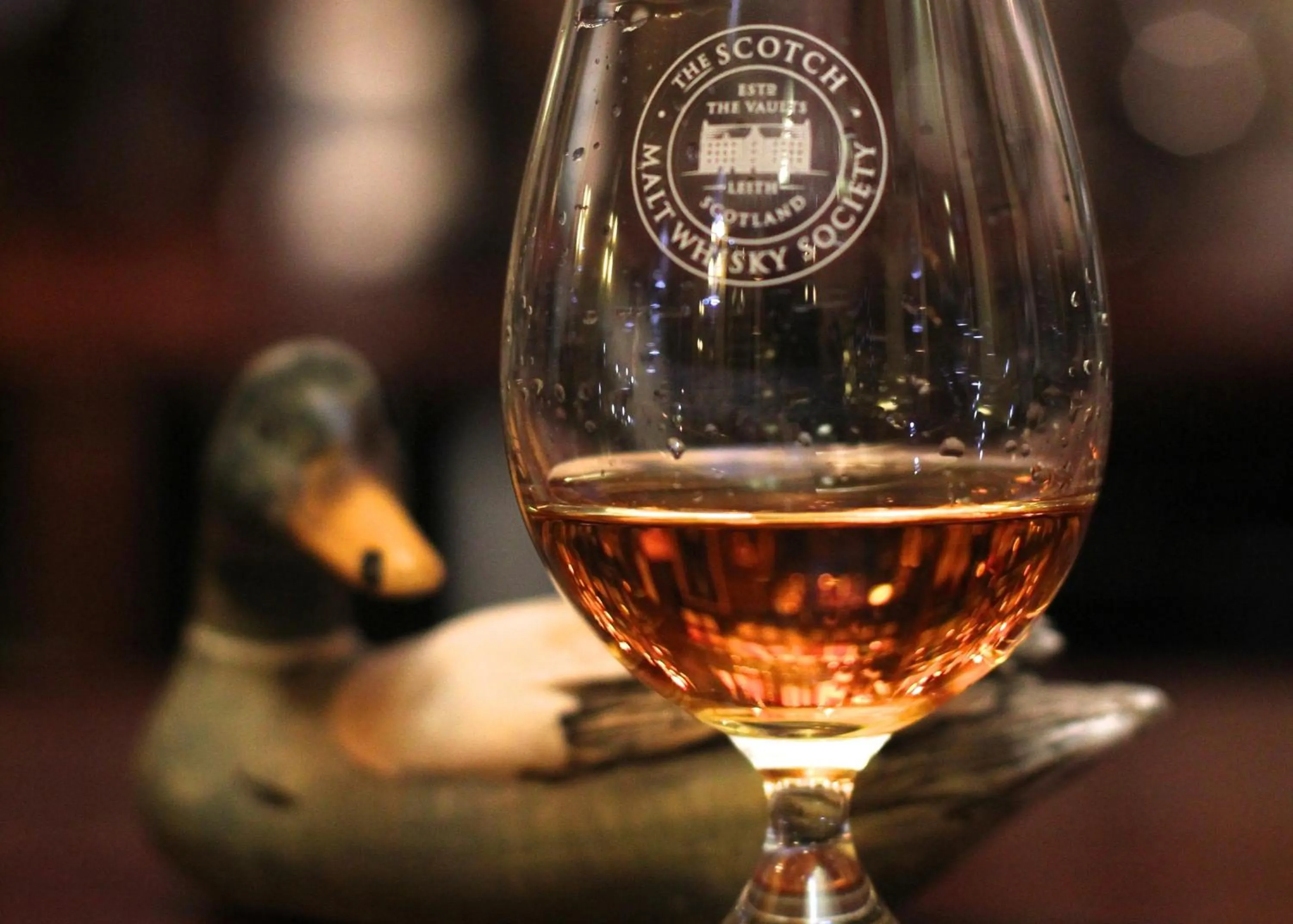 Lounge or bar in Duck's Inn