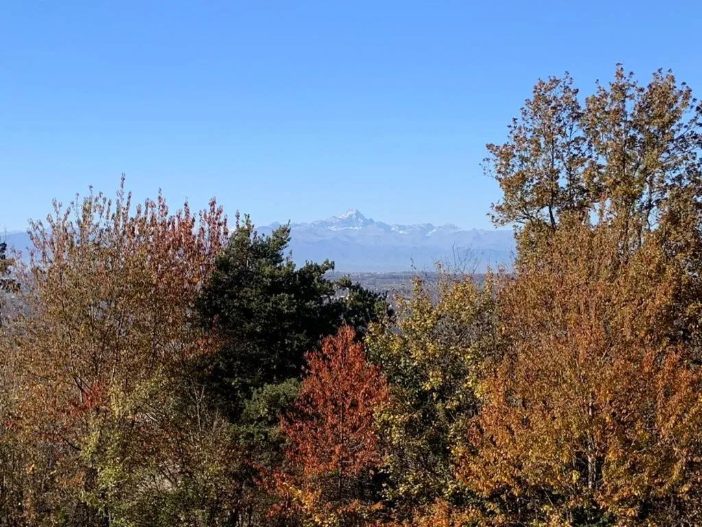Mountain view in B&B La Ceramica Moline