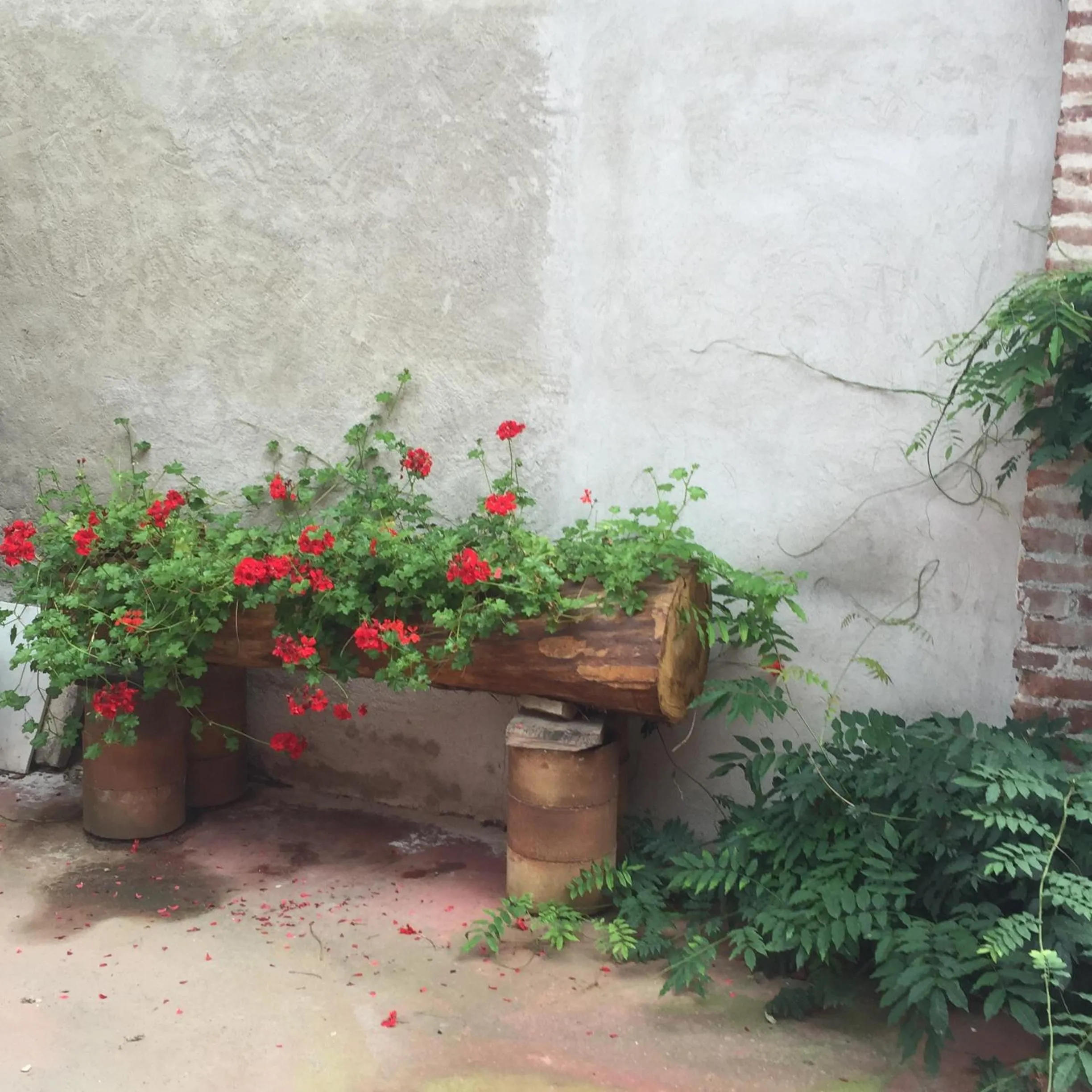 Facade/entrance in B&B La Ceramica Moline