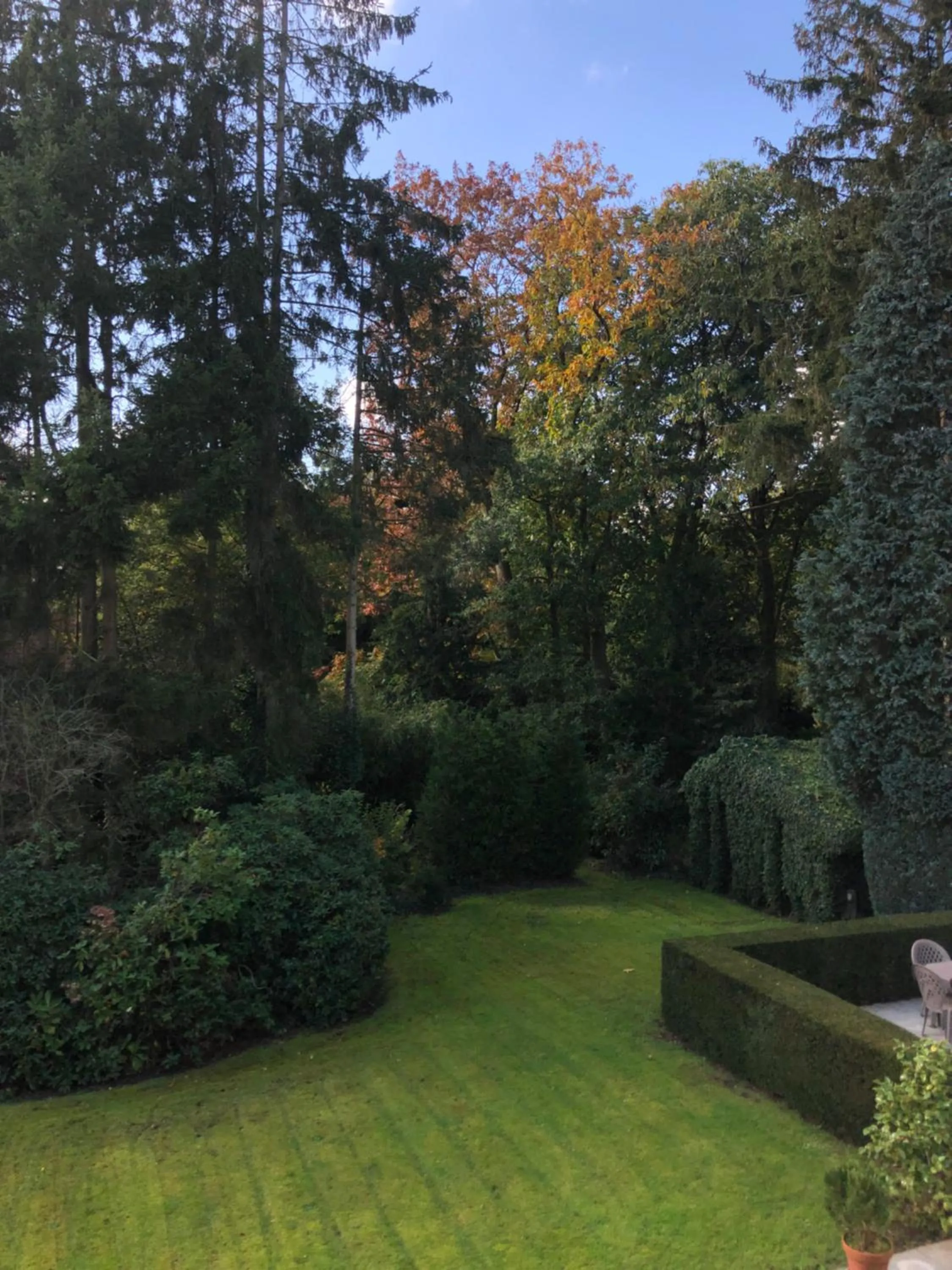 Garden view in B&B Lobelia-Brugge