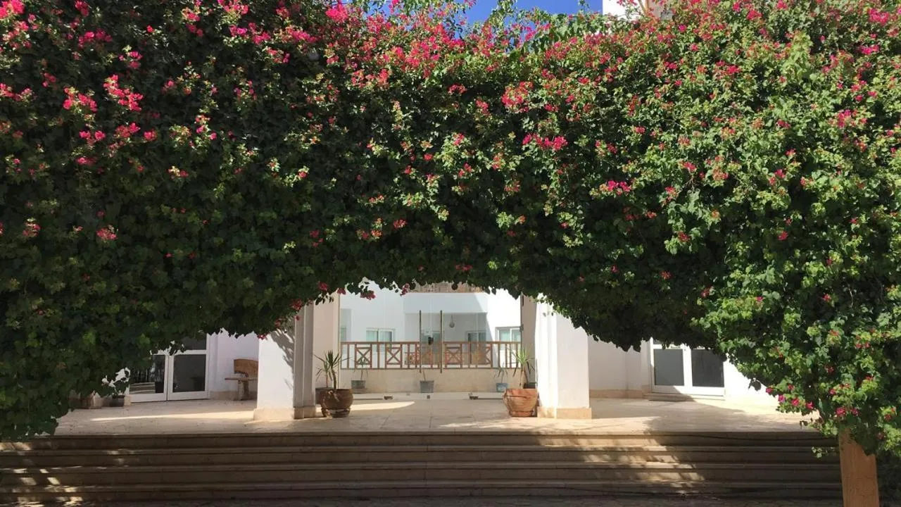 Blue Vision Diving Hotel