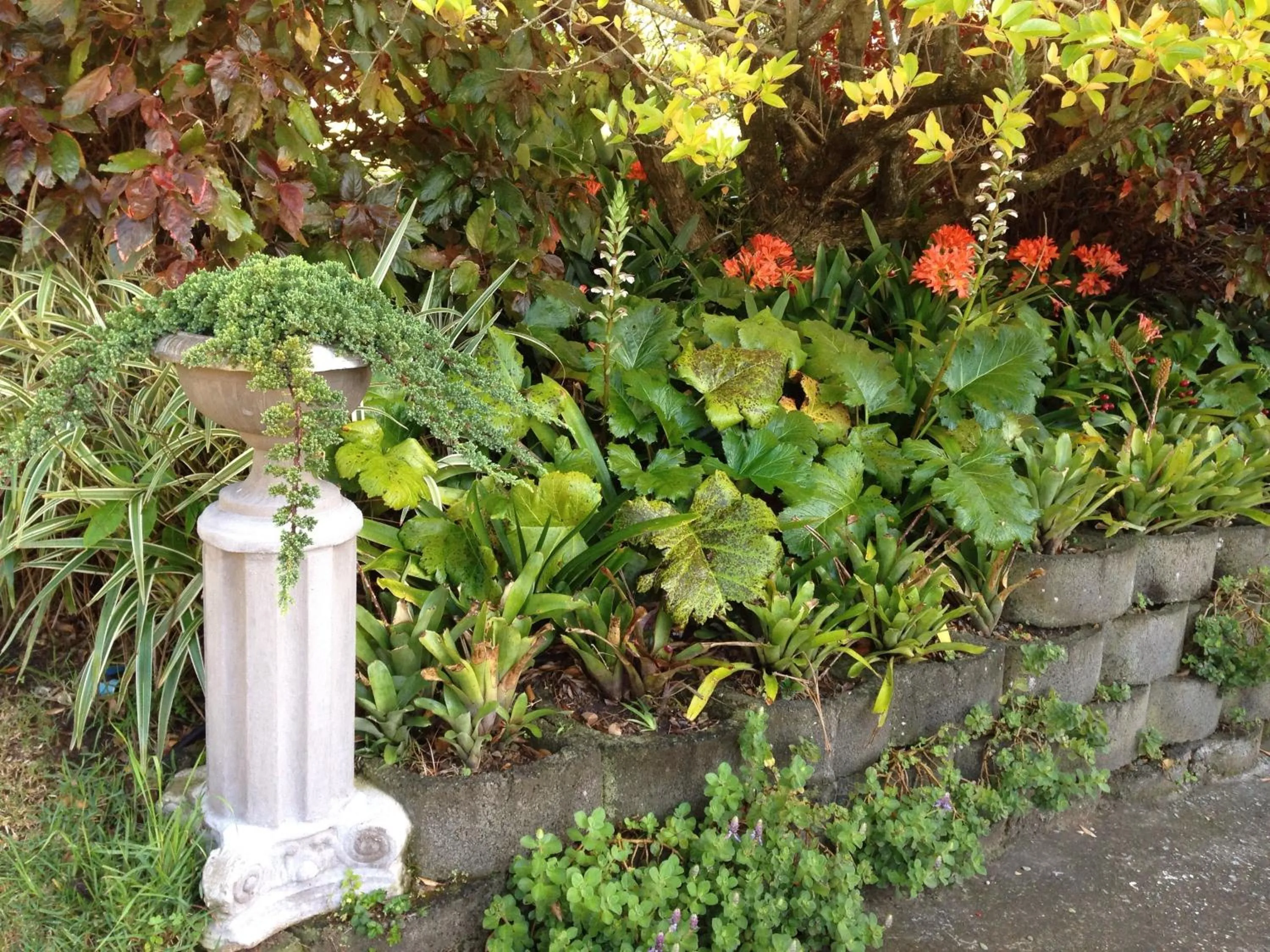 Garden in theSolution BnB