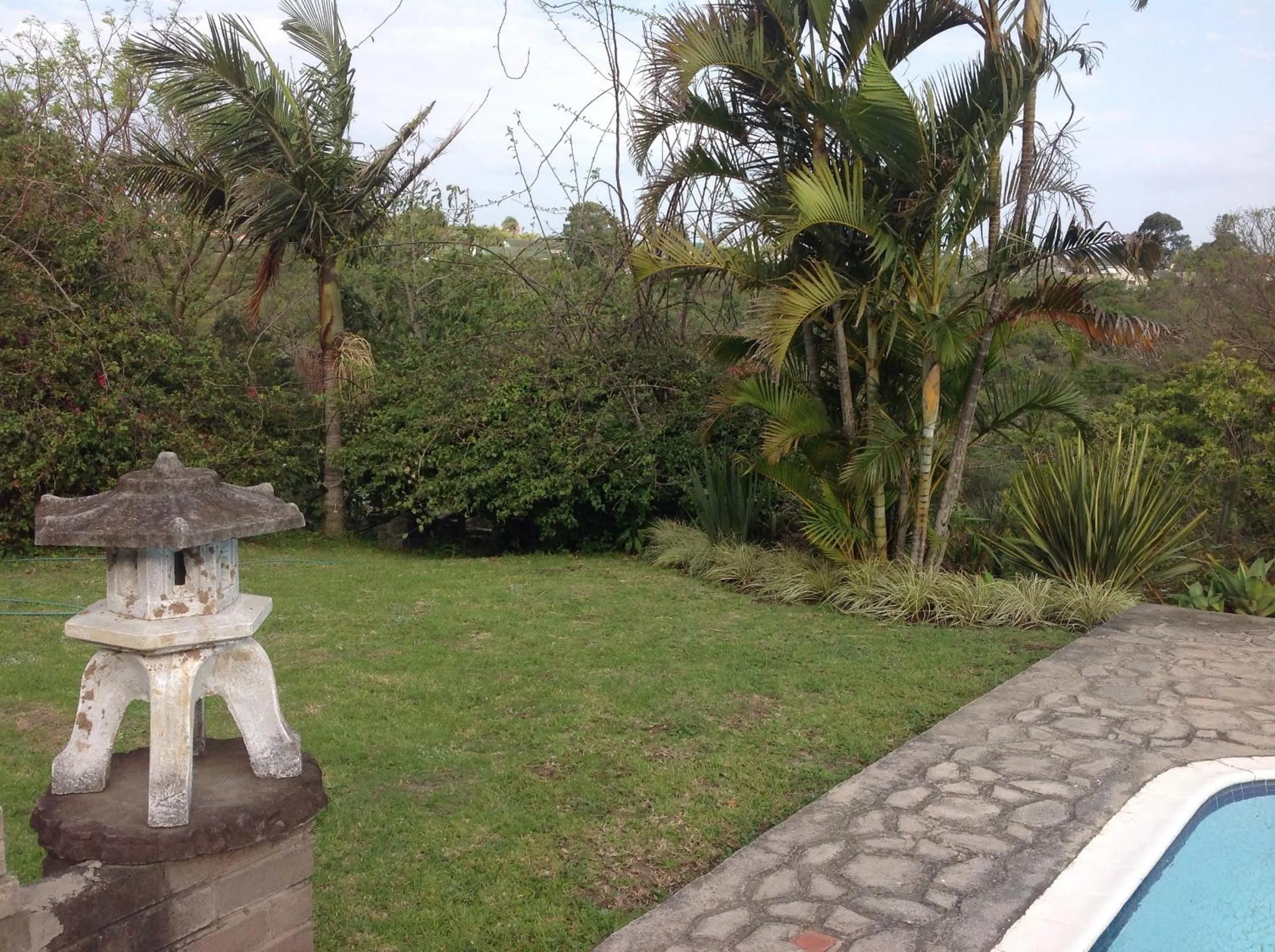 Garden in theSolution BnB