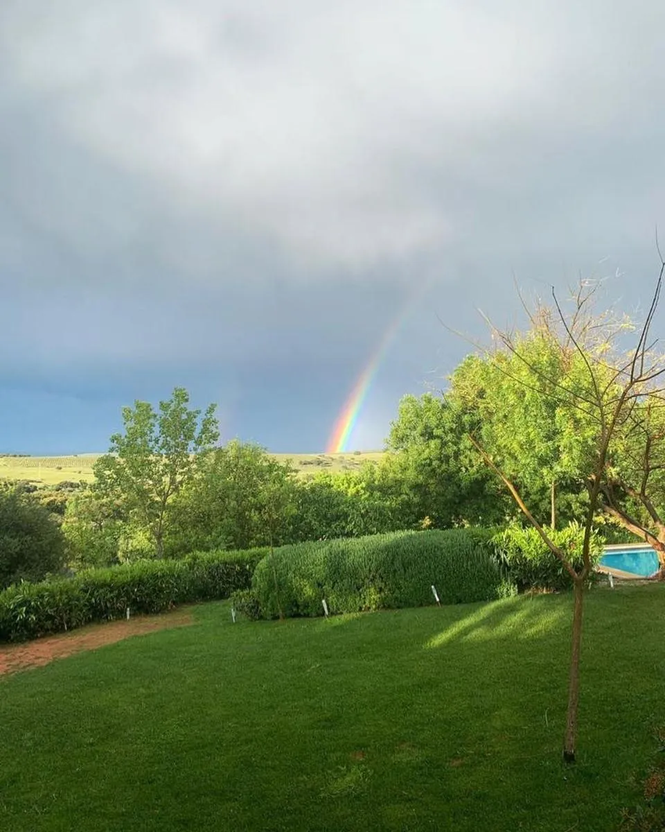 Garden in Hotel Rural Monte da Provença
