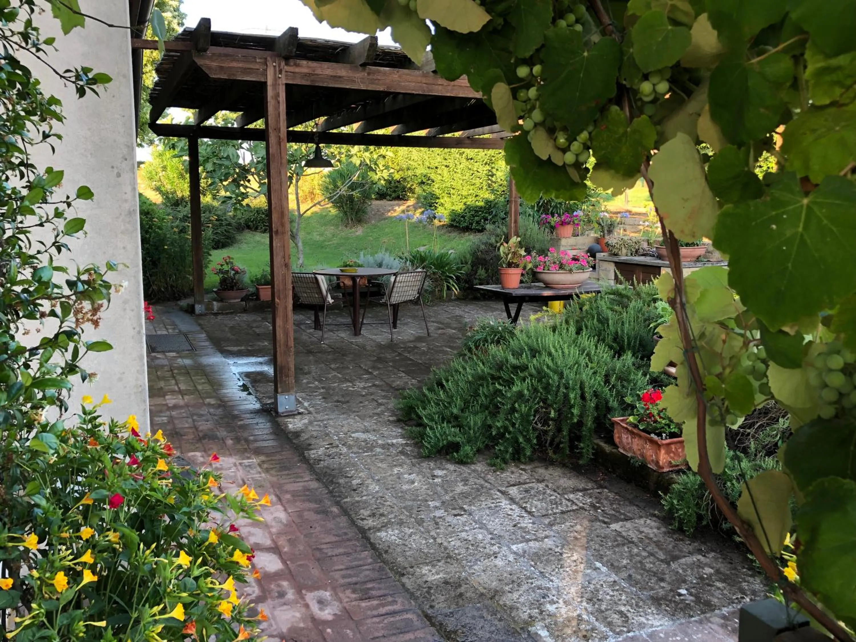 Garden in Holiday home Sellanraa