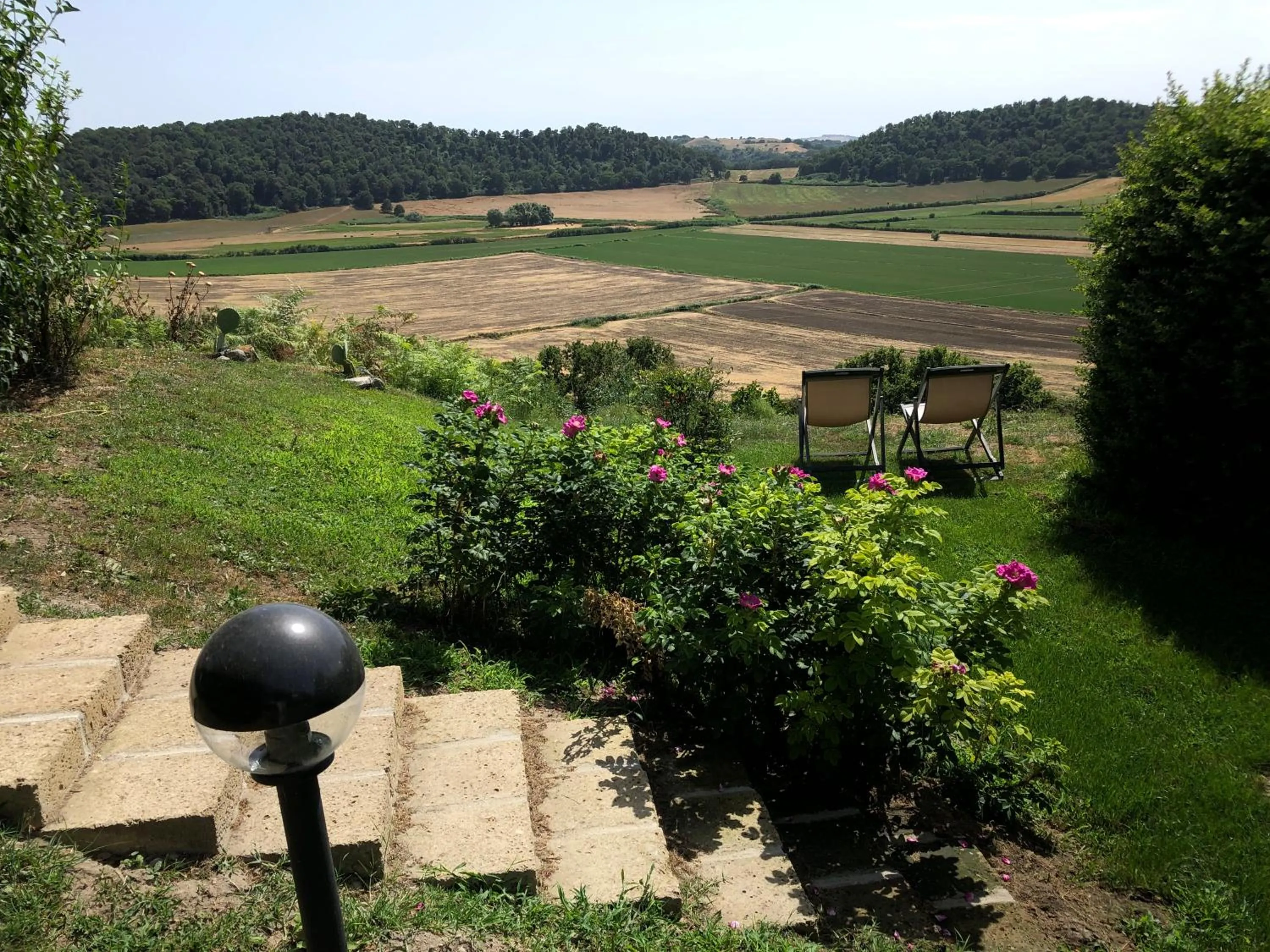 Garden view in Holiday home Sellanraa