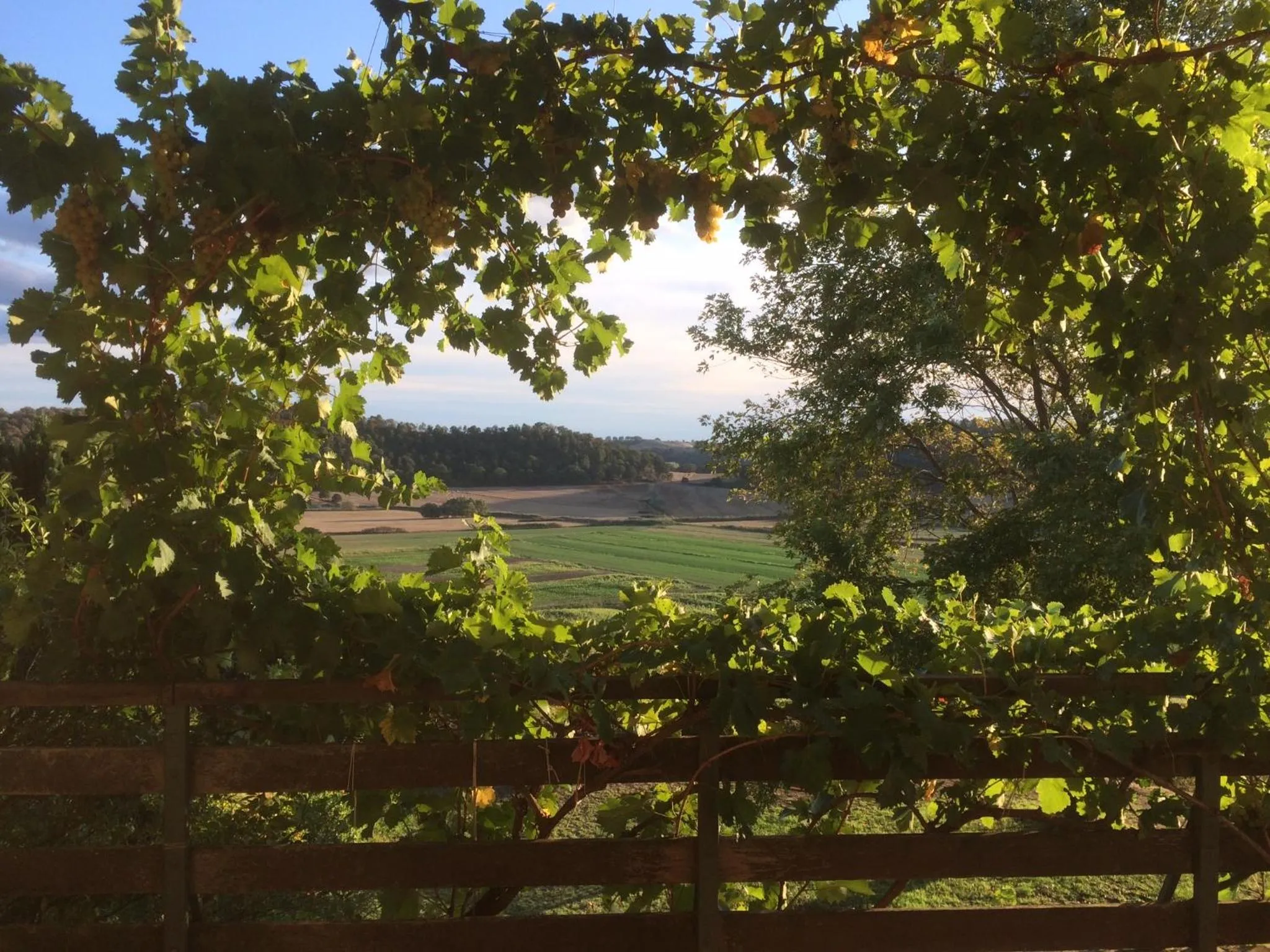 Natural landscape in Holiday home Sellanraa