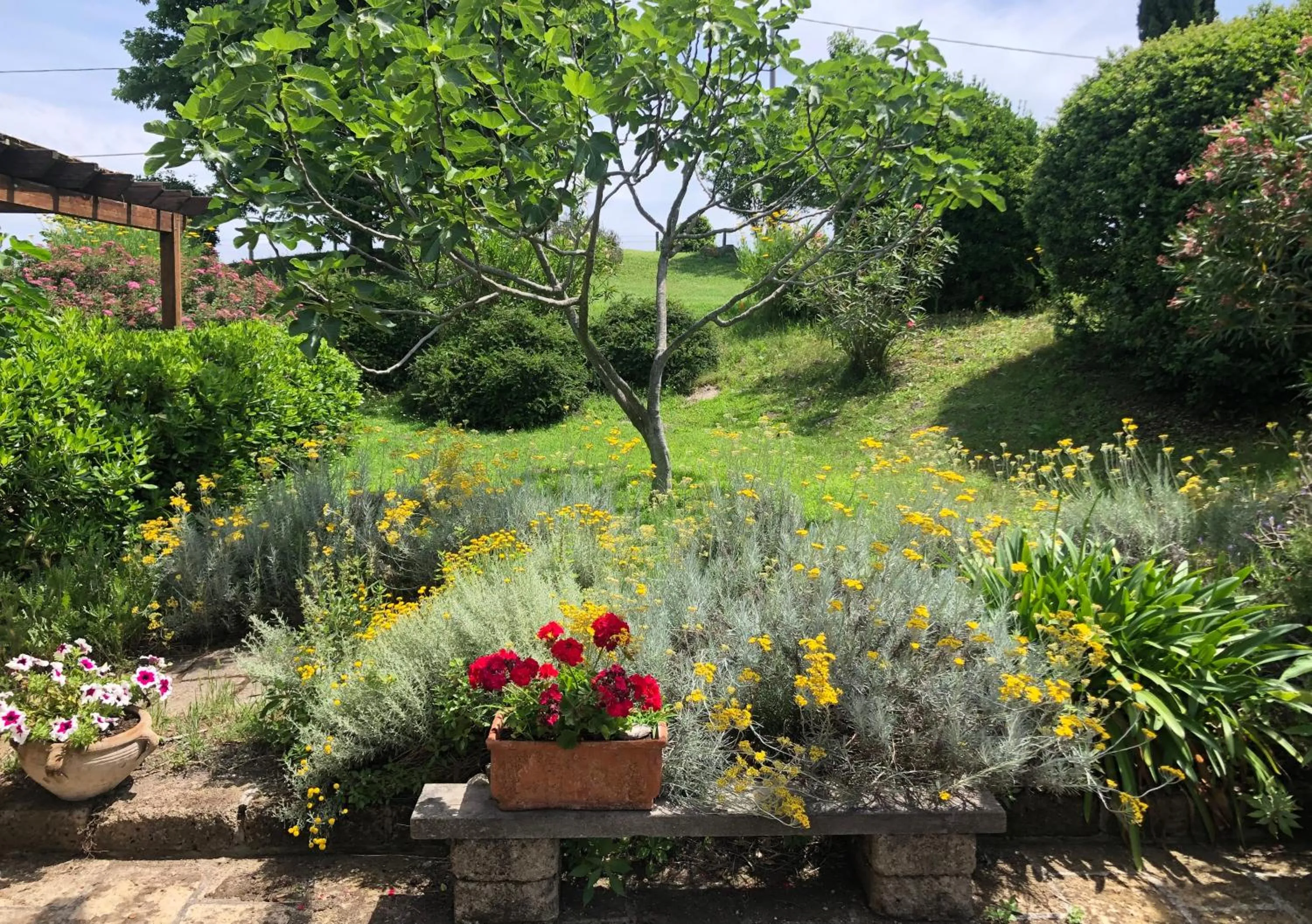 Garden in Holiday home Sellanraa