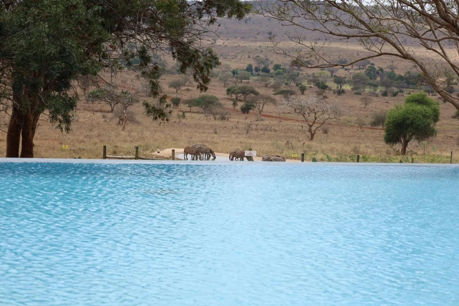 Swimming pool in Taita Hills Safari Resort & Spa