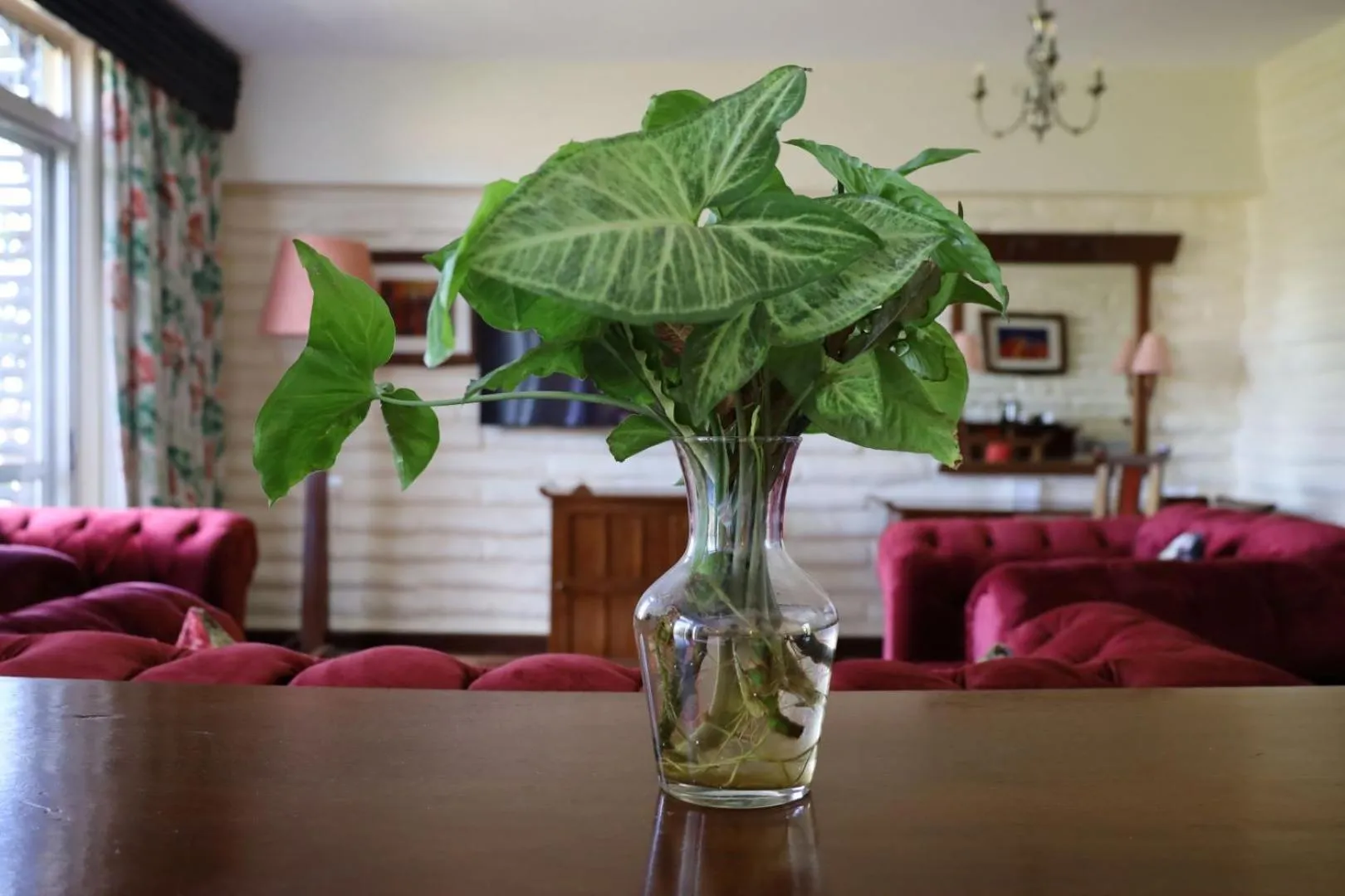 Seating area in Taita Hills Safari Resort & Spa
