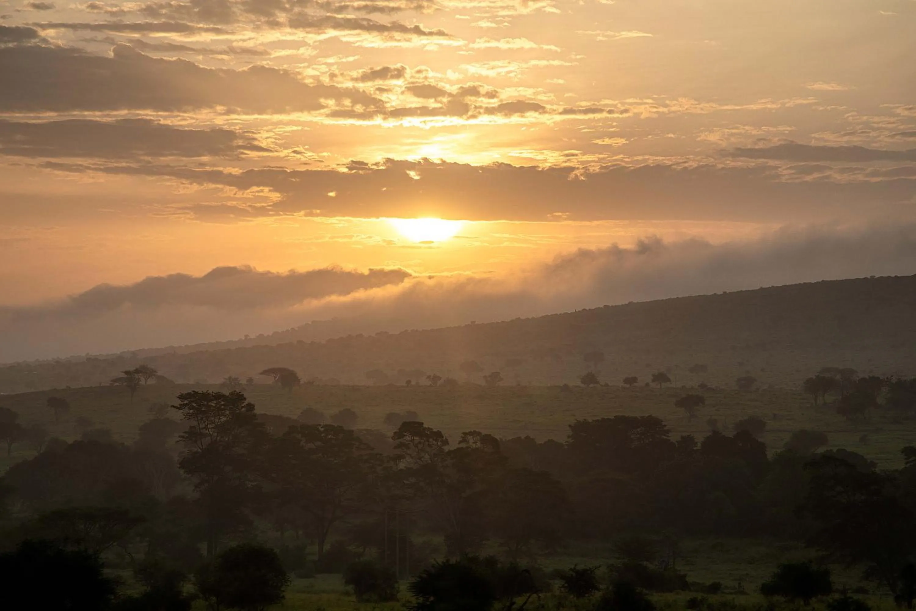 Natural landscape in Taita Hills Safari Resort & Spa
