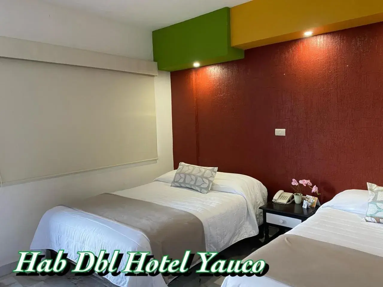 Standard Double Room - single occupancy in Hotel Yauco Standard Double Room - single occupancy in Hotel Yauco