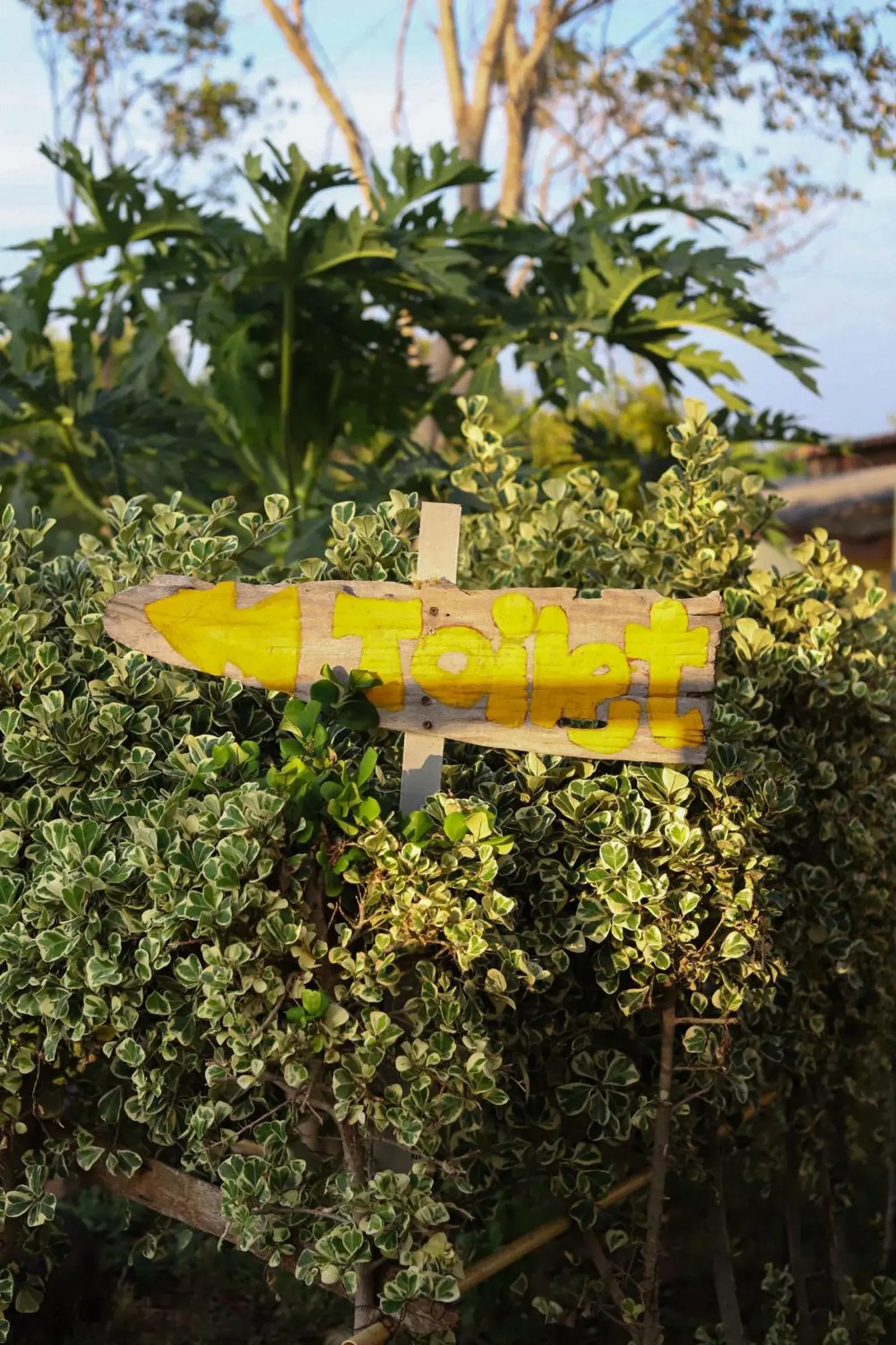 Parinya Hill Homestay & Cafe Koh Larn Parinya Hill Homestay & Cafe Koh Larn