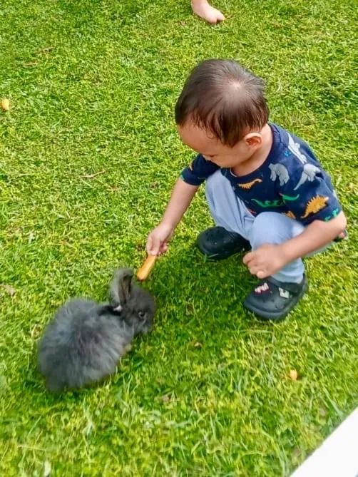 Grand Mulya Hotel Bogor