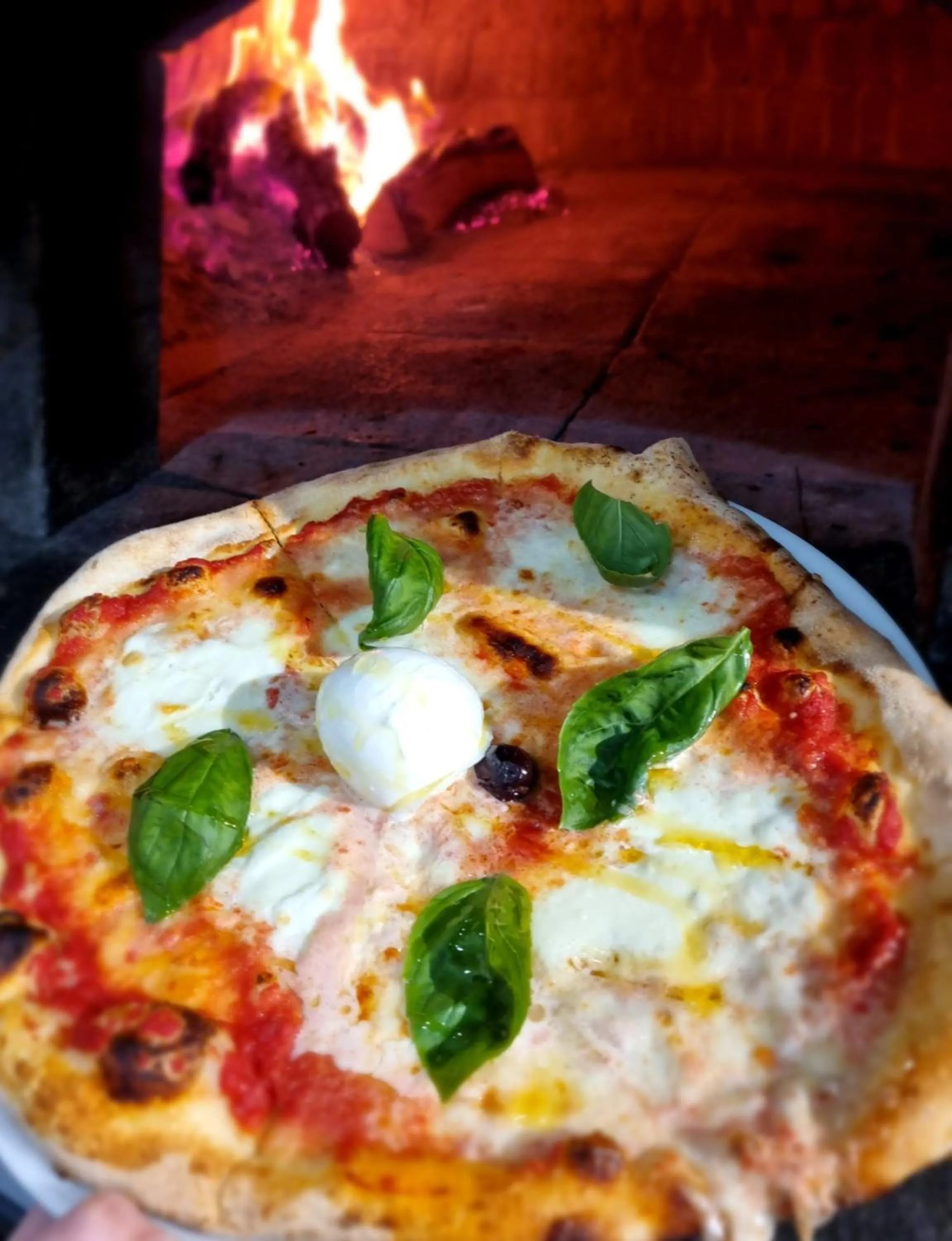 Hotel Pensione Cundari