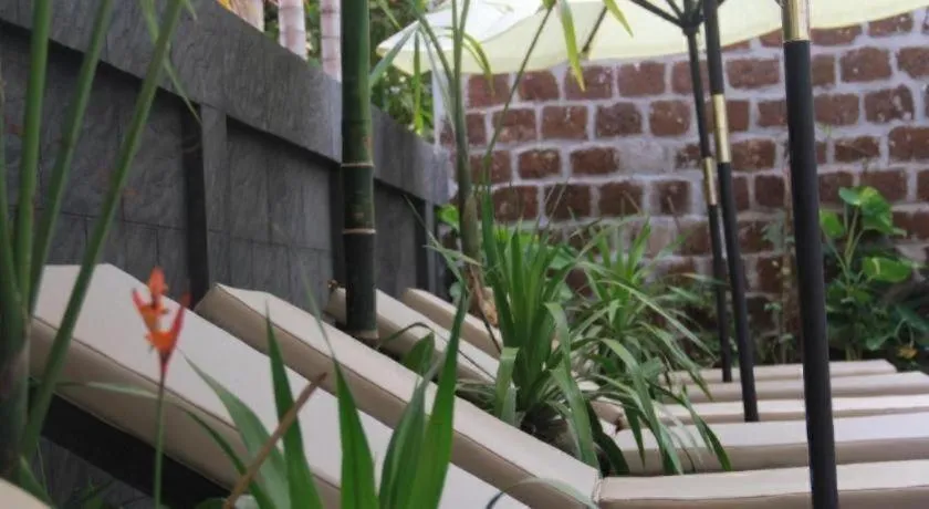 Popular Boutique Hotel