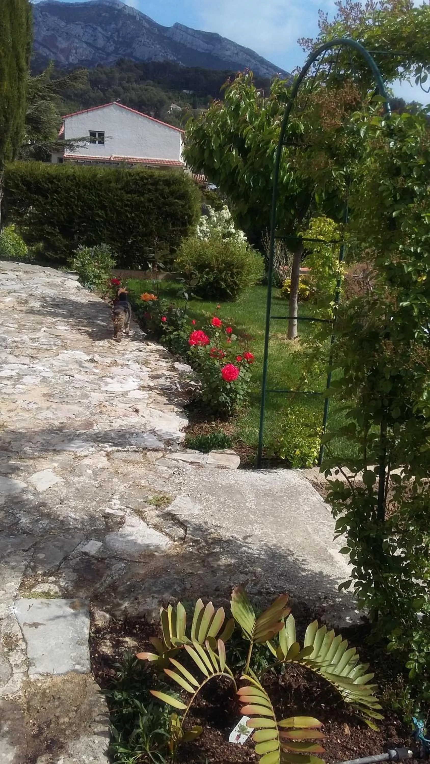 Garden view in B&B La Campagne