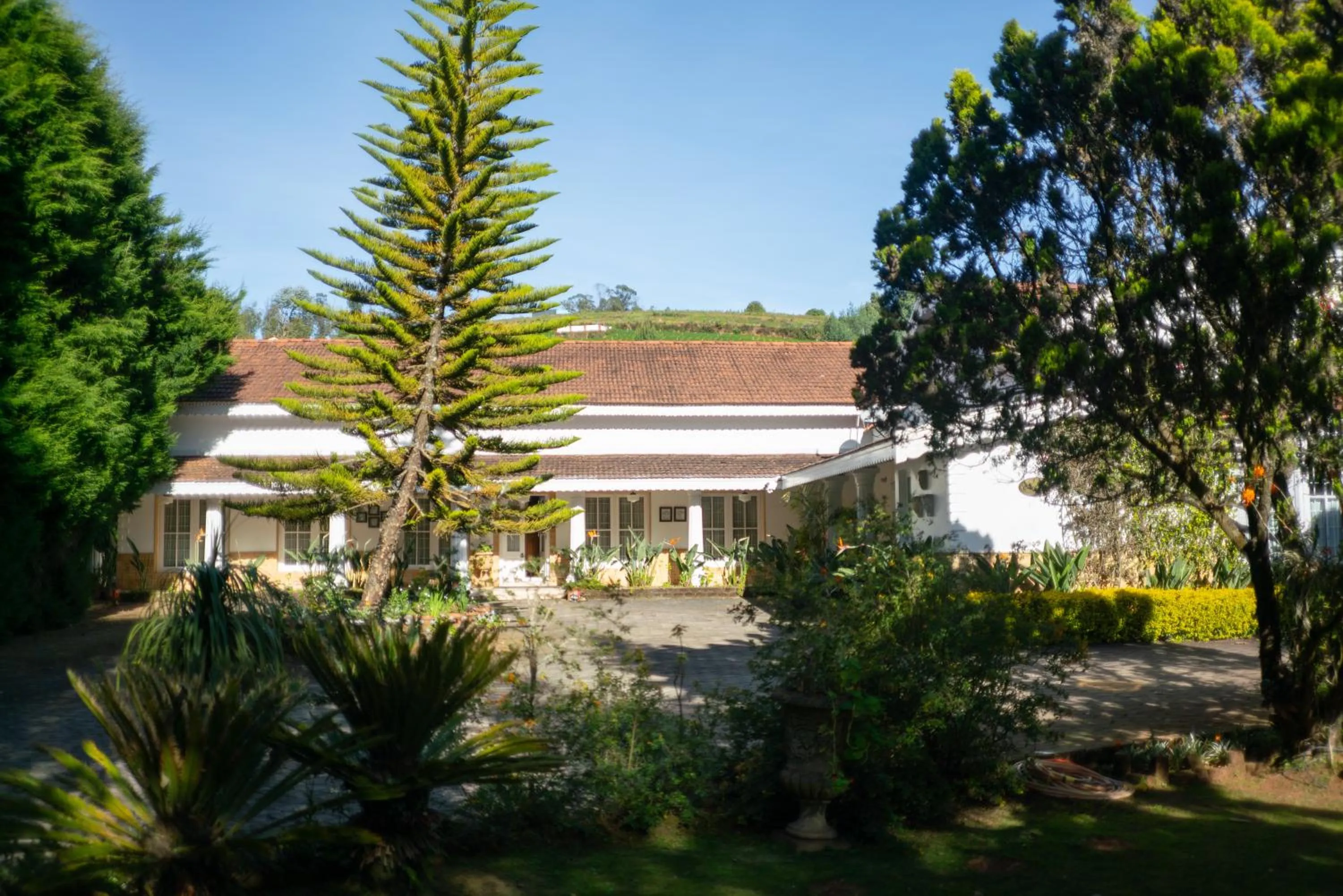 Property building in Marlihill Bungalow - A CGH Earth SAHA Experience