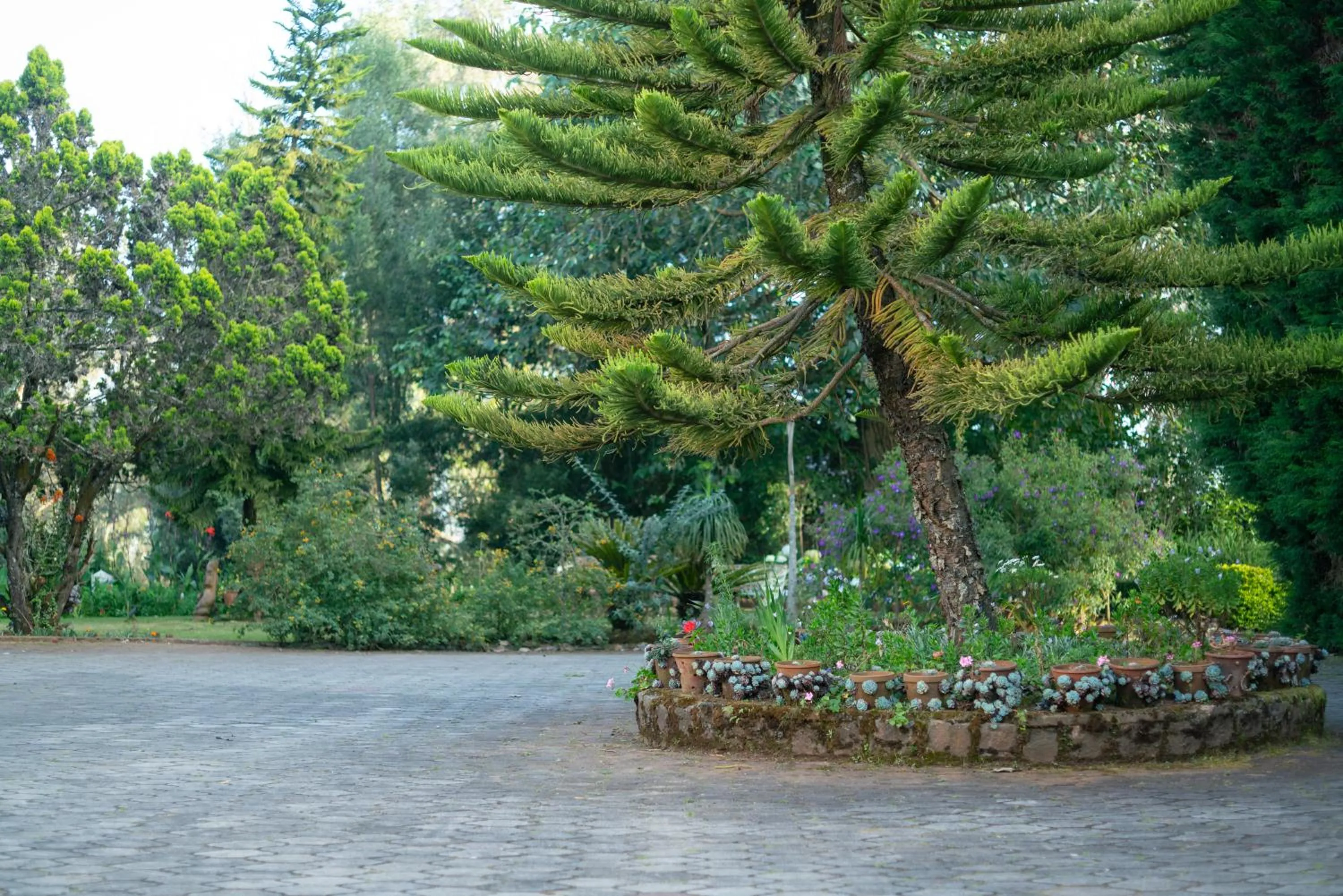 Garden in Marlihill Bungalow - A CGH Earth SAHA Experience